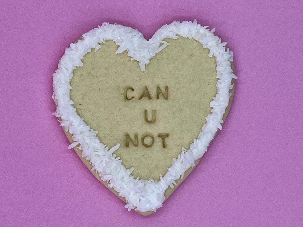Anti Valentines Cookies Can U Not.jpeg