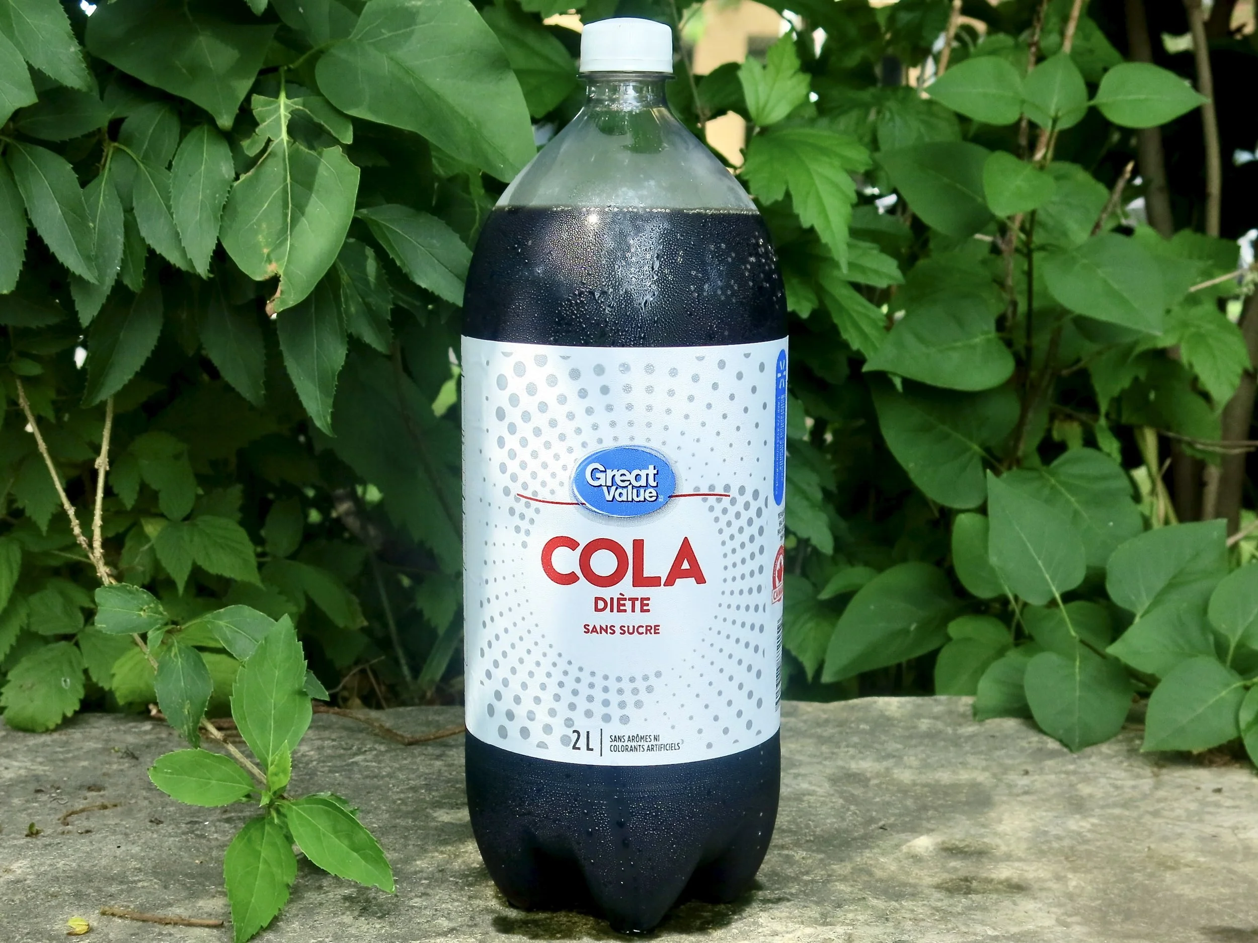 A bottle of Great Value Diet Cola