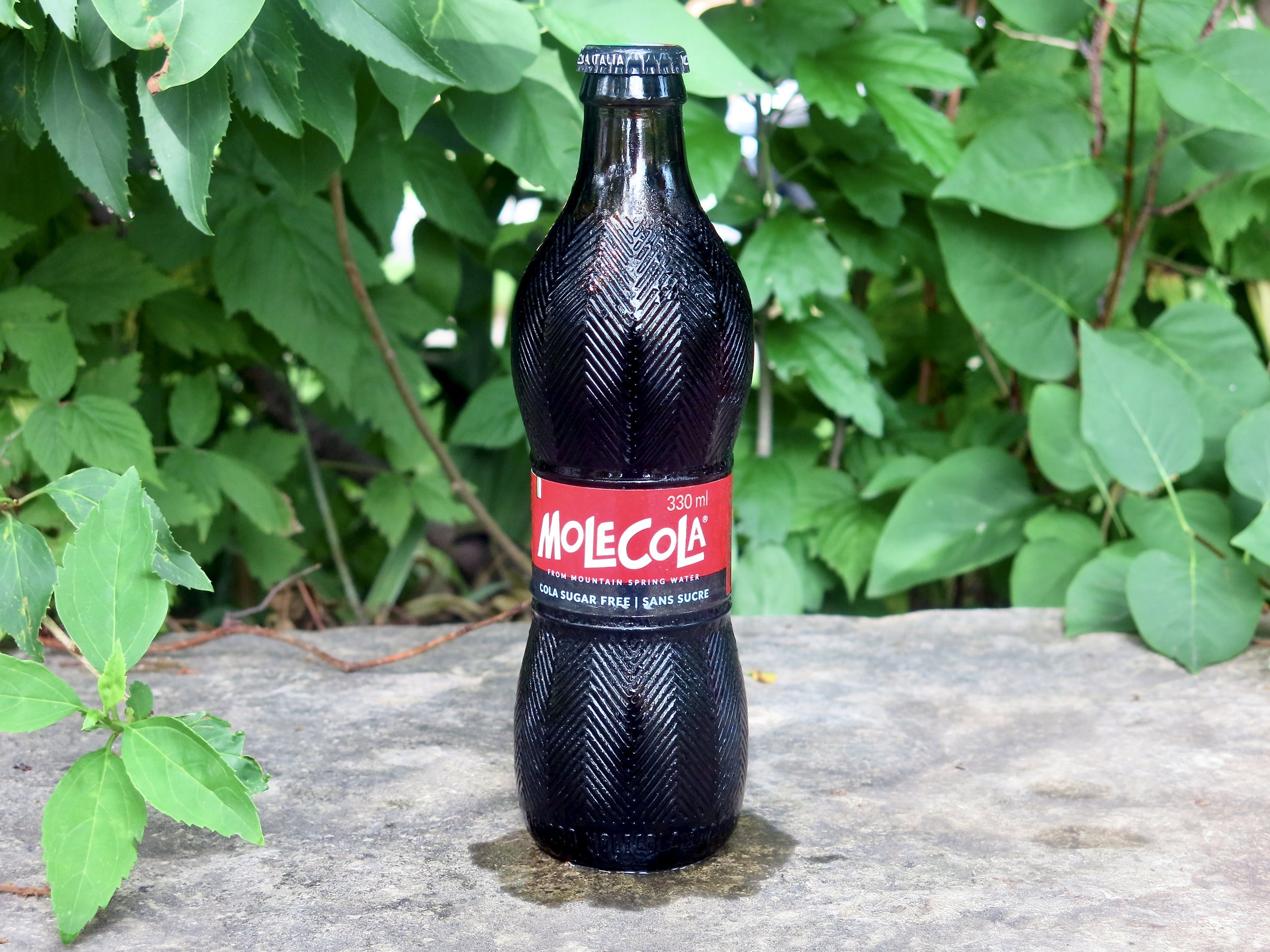 A bottle of Mole Cola.