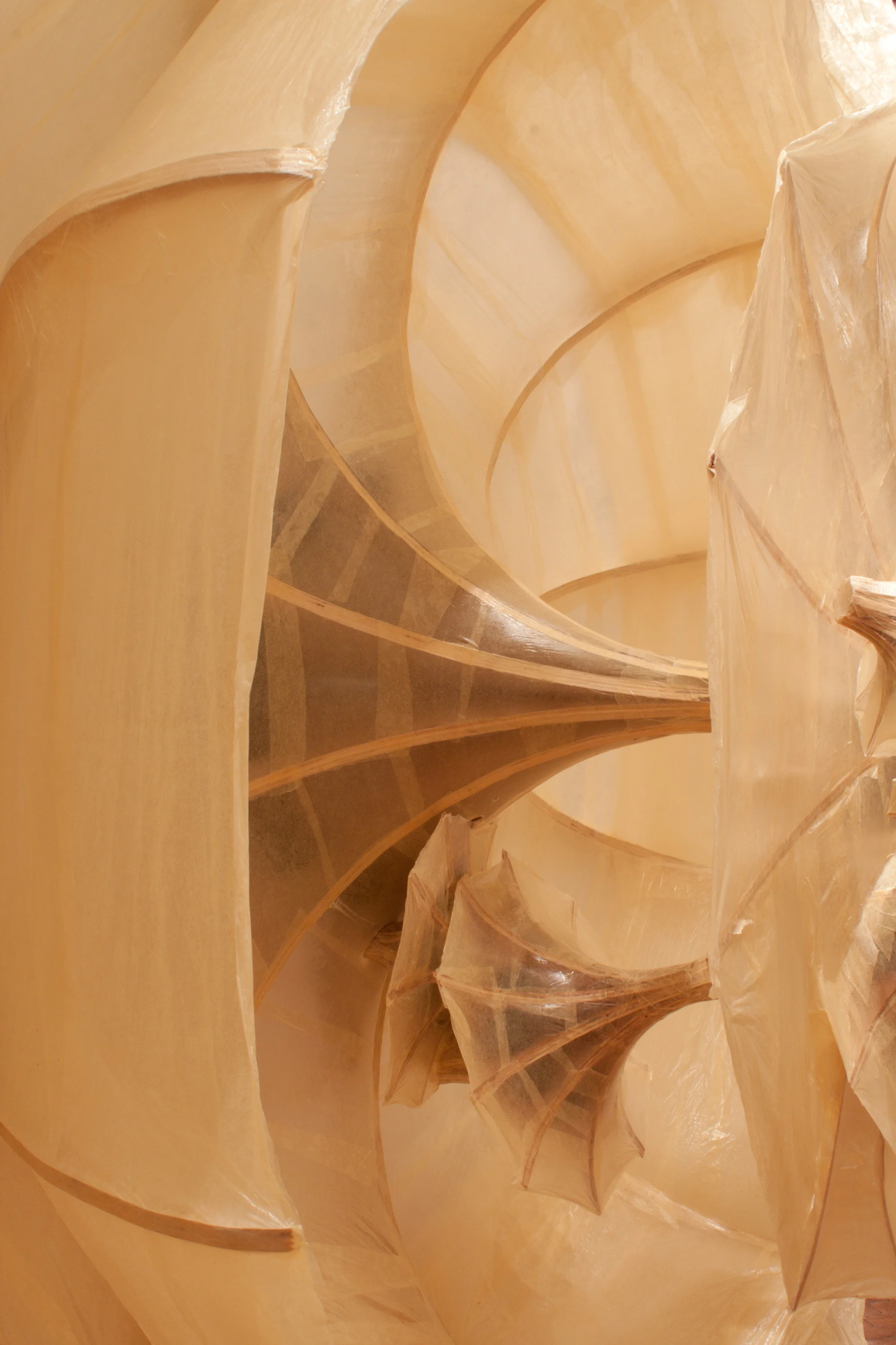 Detail Untitled (yellow cones) 2011 Plywood, tracing paper, polyurethane, foam 96 x 96 x 72 in. 