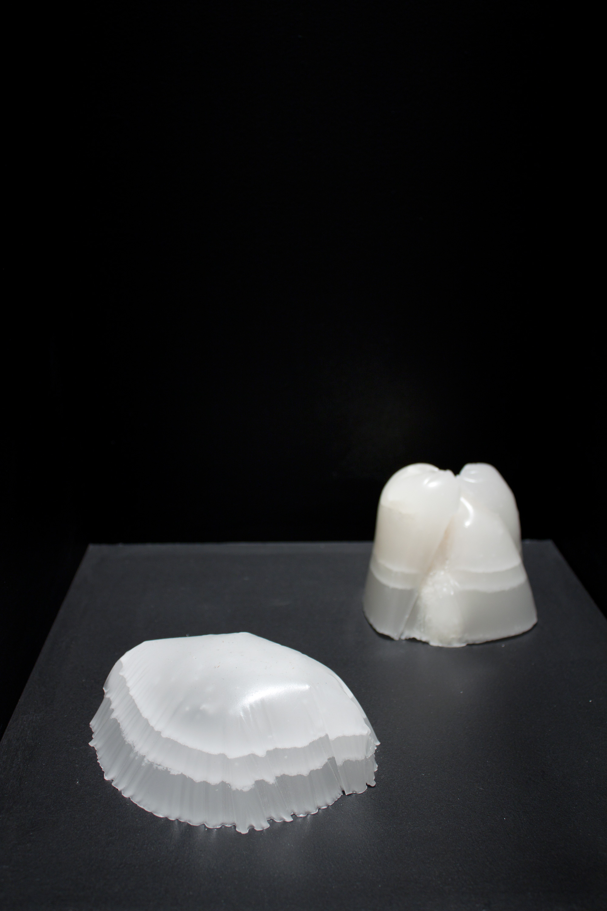  Untitled   2010   Cast Paraffin wax, tracing paper, latex paint  6 x 5 x 2 in., 4 x 4 x 4 in.    