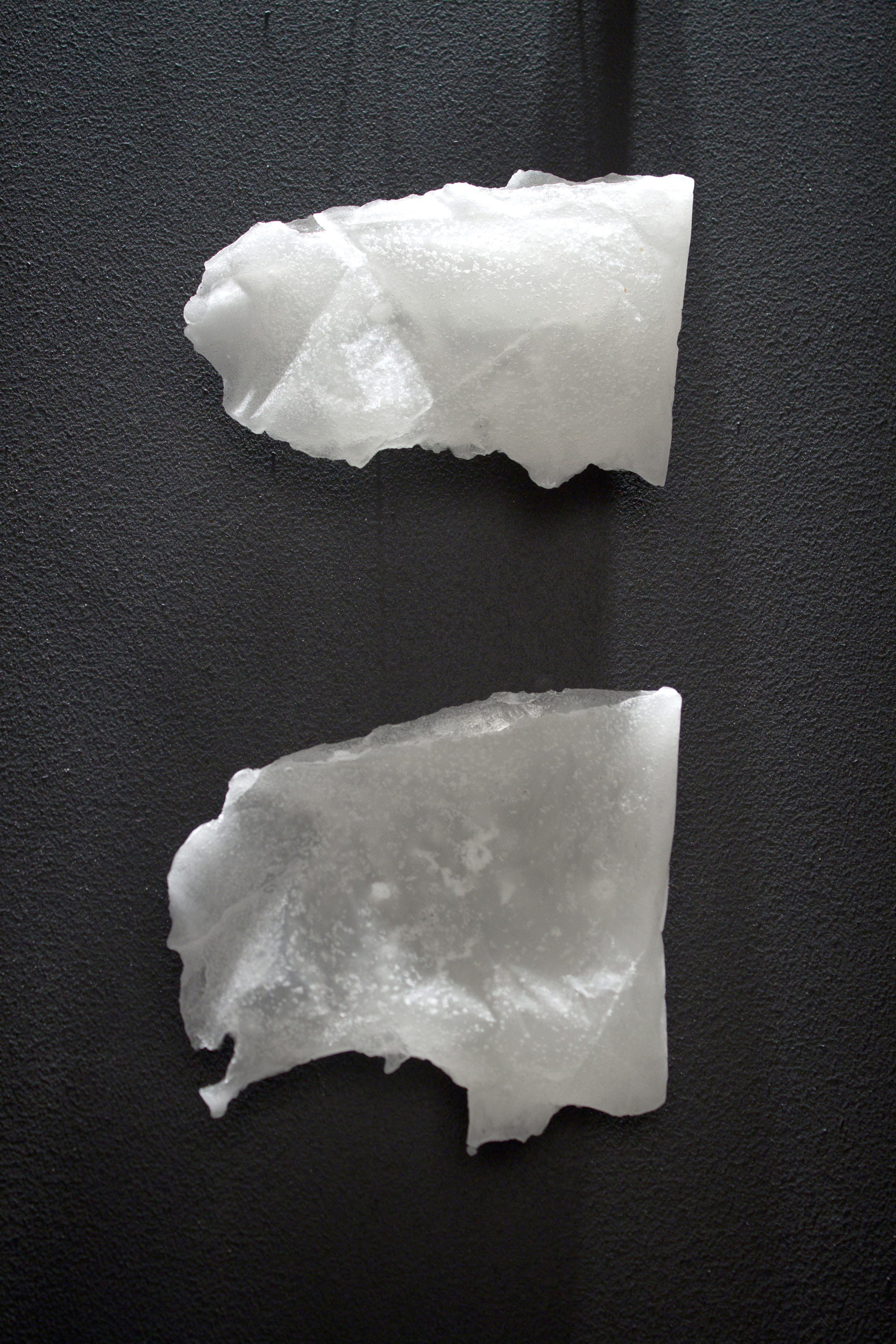   Detail   Untitled   2010   Cast Paraffin wax  Overall dimensions 27 x 5 x 1.5 in.&nbsp;    