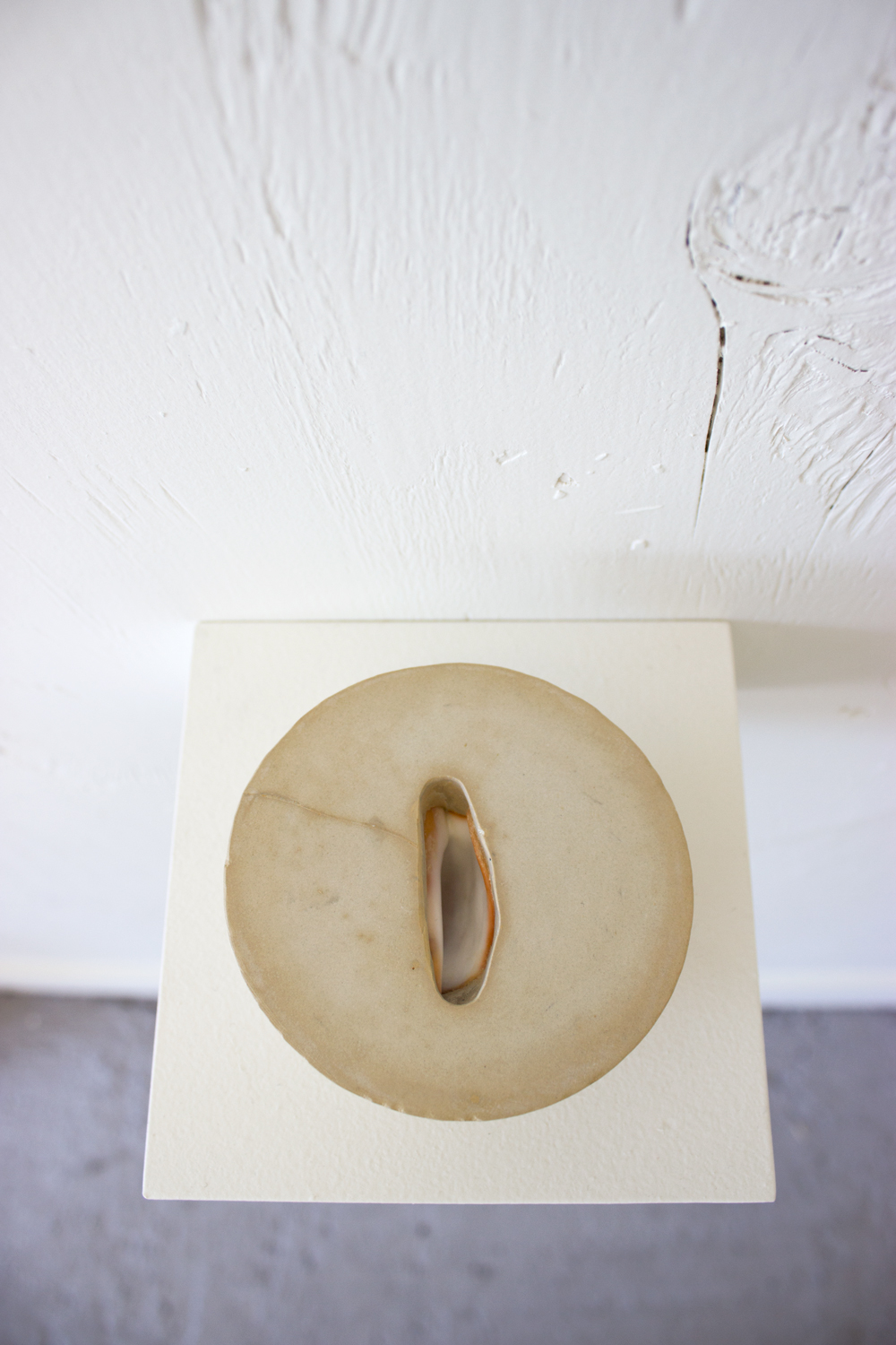  Untitled (concrete shell, half sphere)  2015  Cast concrete half sphere, embedded decorative shell  3 x 4 inches  Detail 