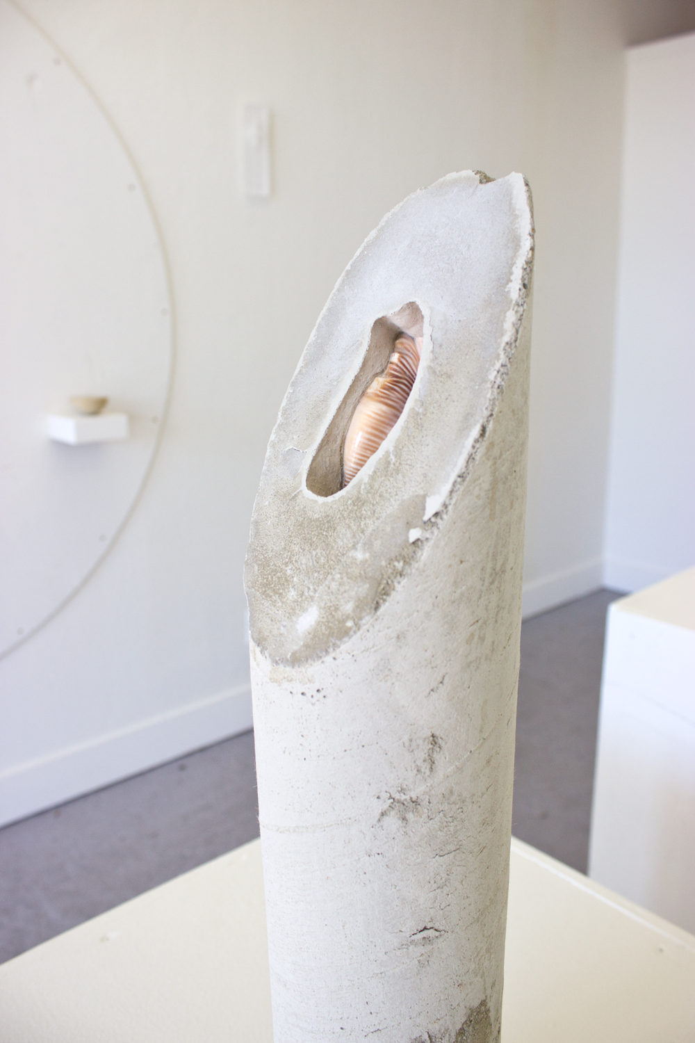  Untitled (concrete shell, cylinder)  2015  Cast concrete cylindrical section, embedded decorative shell&nbsp;  30 x 4 inches 