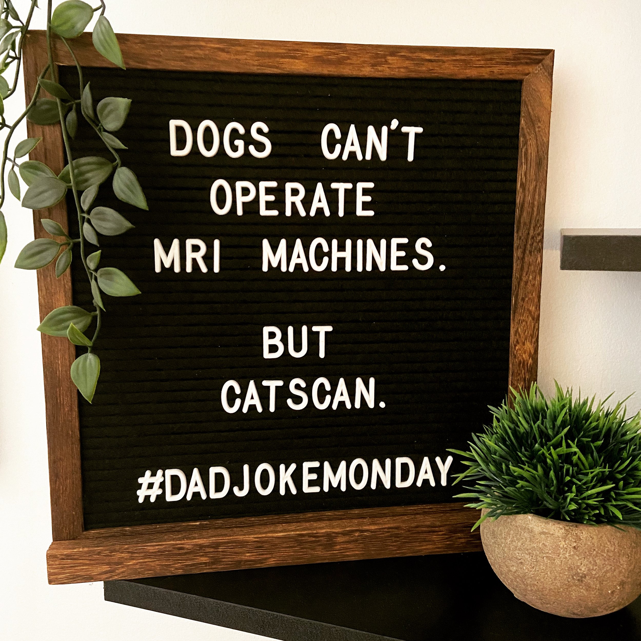 Catscan DadJoke.JPG