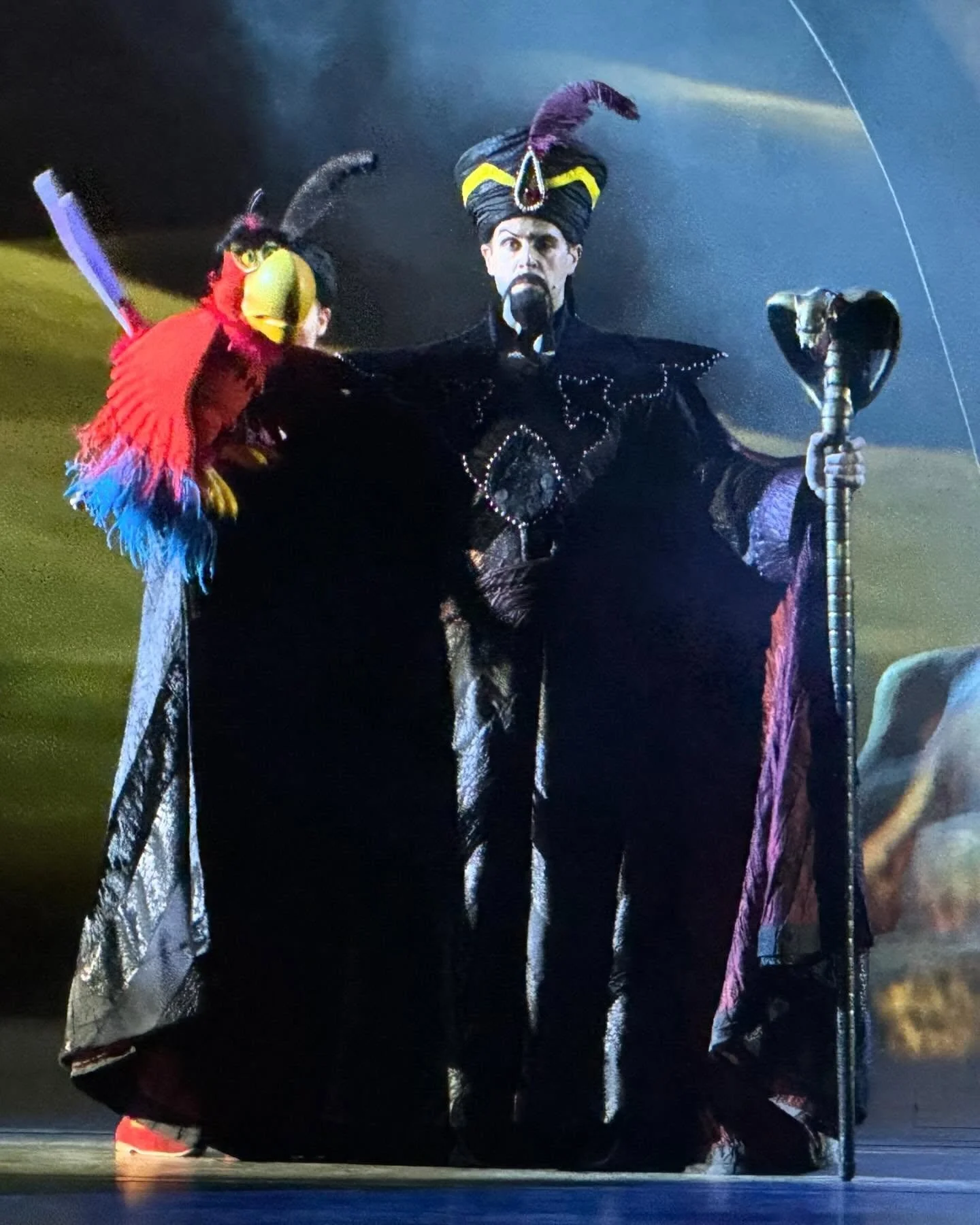A theatrical performance featuring a person dressed as a villain or wizard in elaborate black and purple costume with a tall feathered hat, holding a staff. Another character dressed as a colorful bird in a red, yellow, and blue costume, appears to be speaking or interacting with the villain.