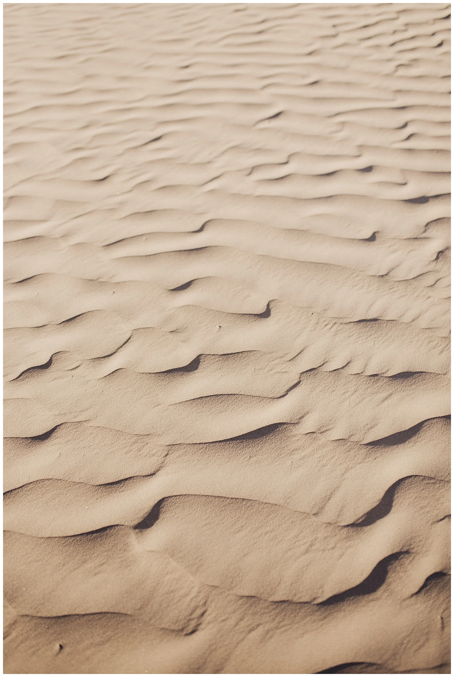 edenstraderphotography_0260.jpg