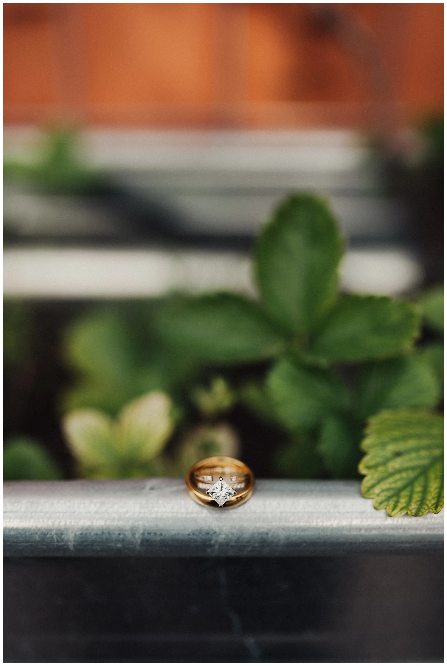 edenstraderphotography_0342.jpg