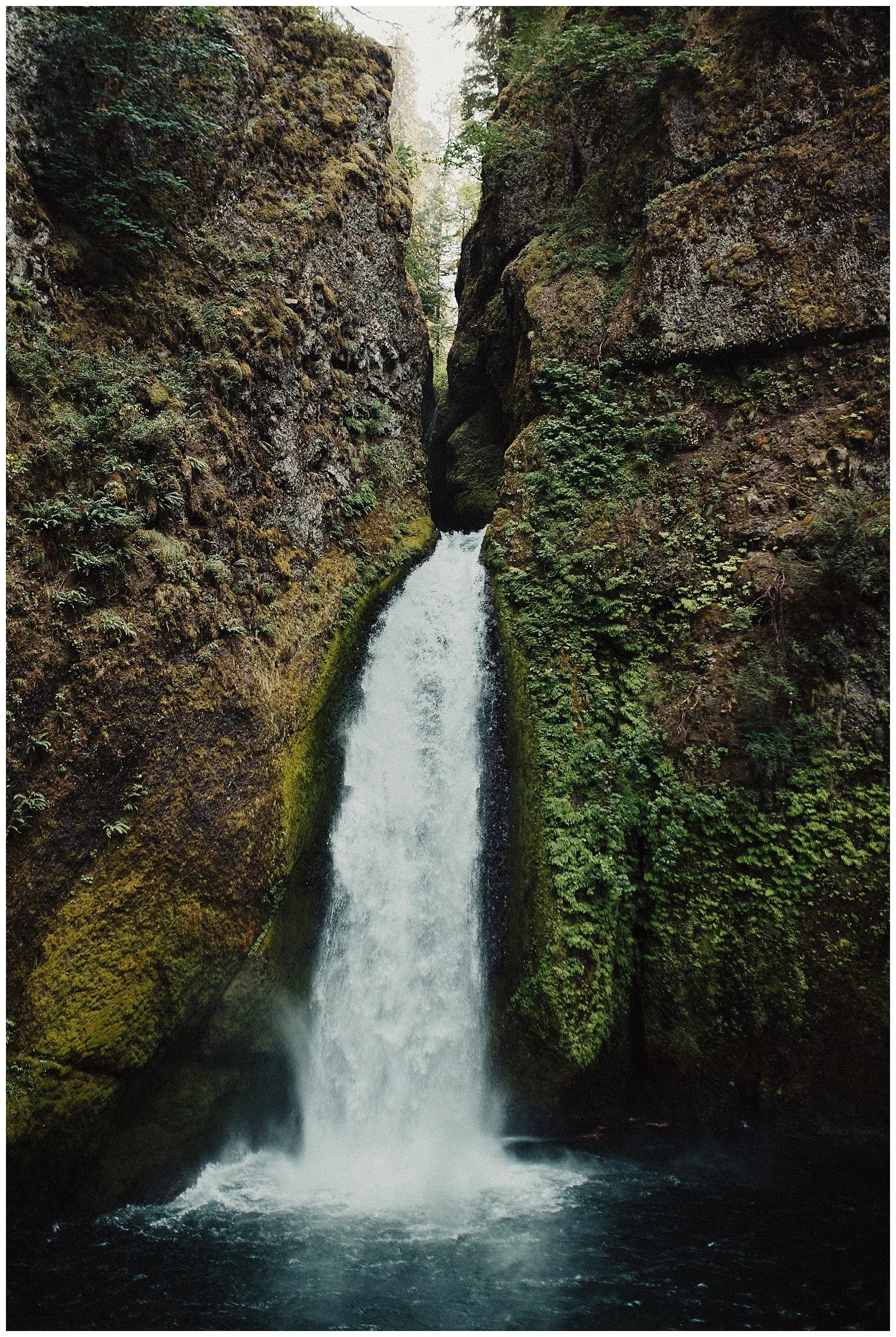 edenstraderphotography_0689.jpg