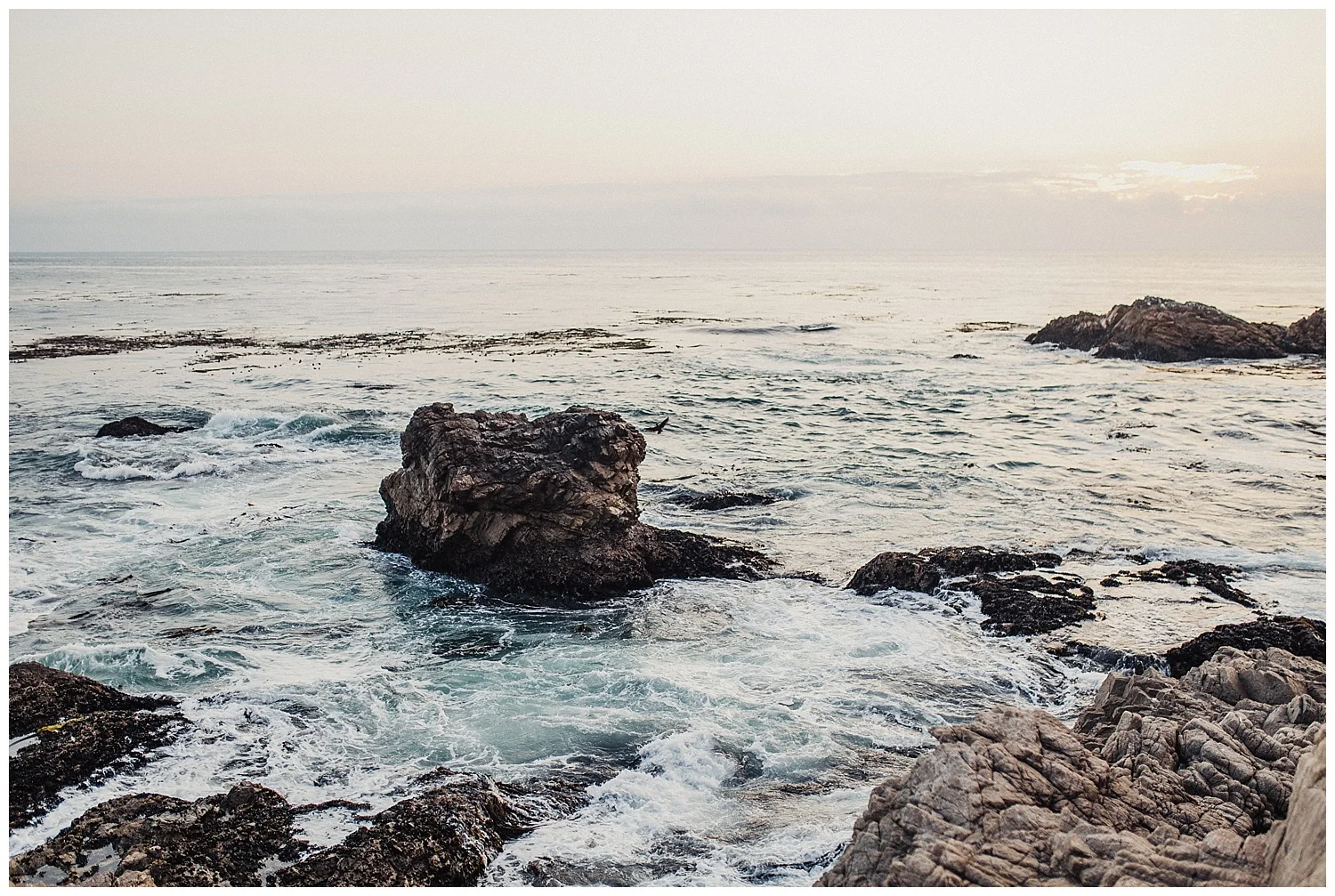 edenstraderphotography_0981.jpg