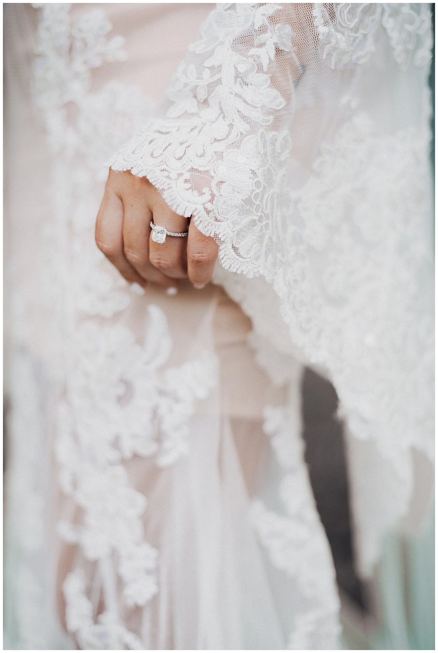edenstraderphotography_1078.jpg