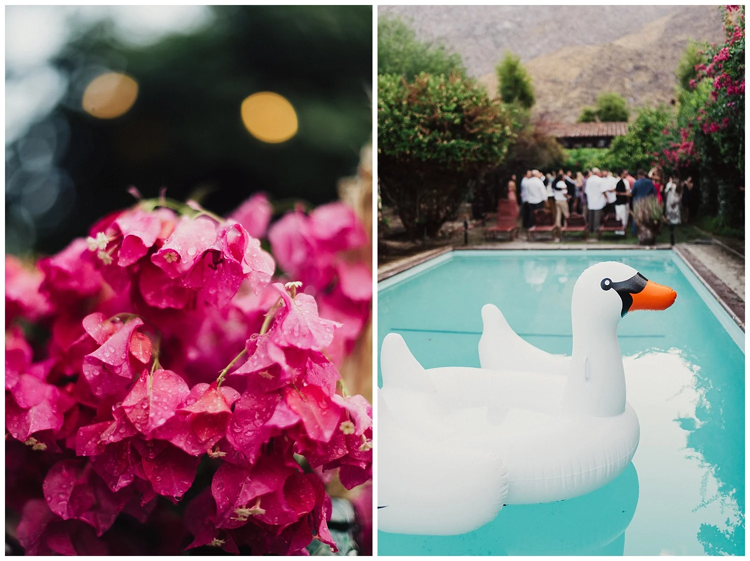 edenstraderphotography_1129.jpg