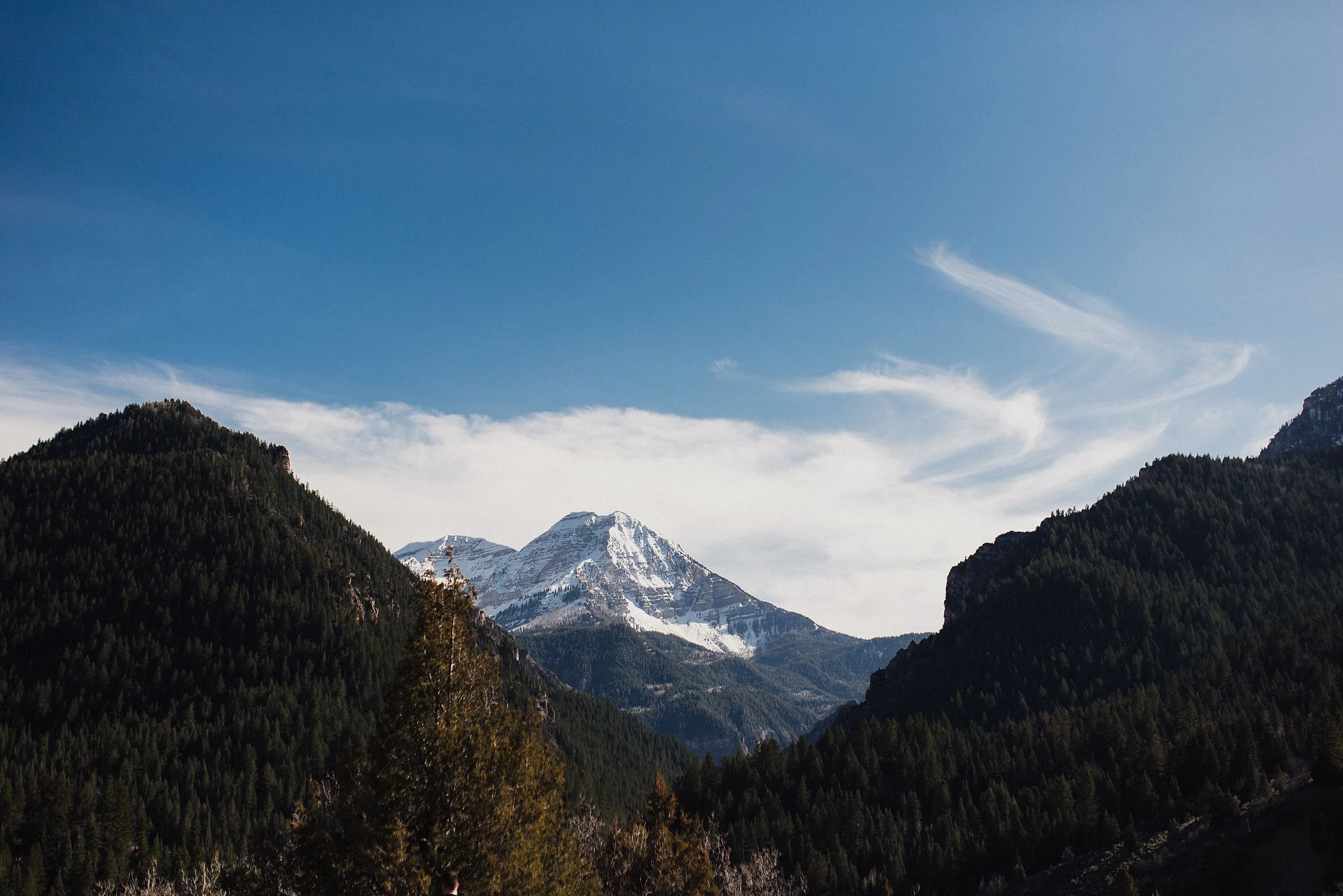 edenstraderphotography_2703.jpg
