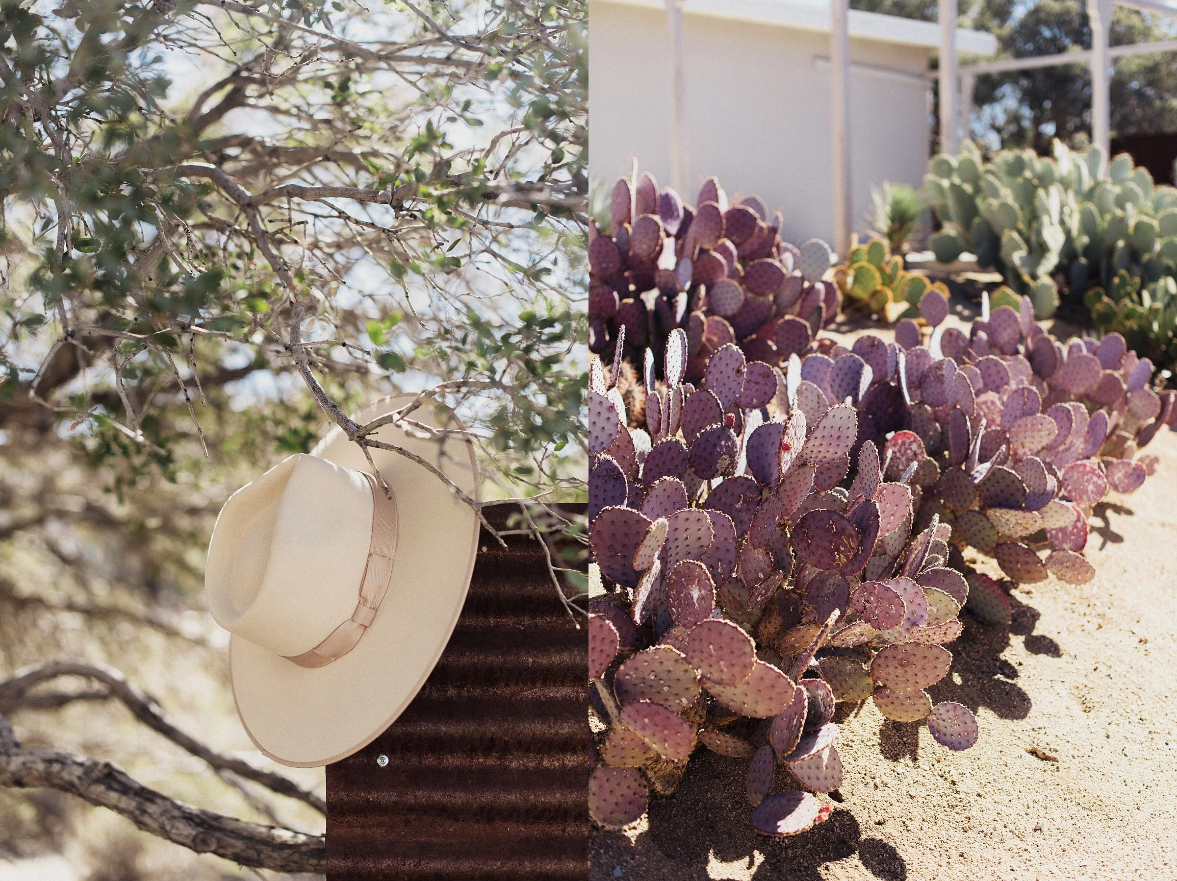 cactus-moon-retreat-wedding_4077.jpg