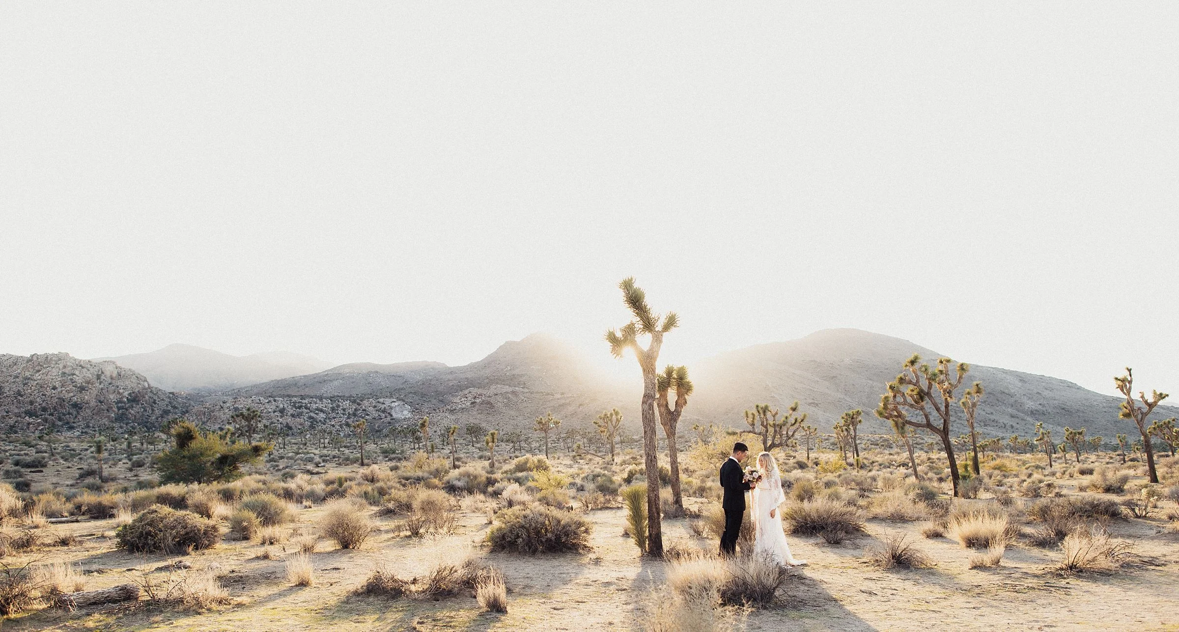 cactus-moon-retreat-wedding_4151.jpg