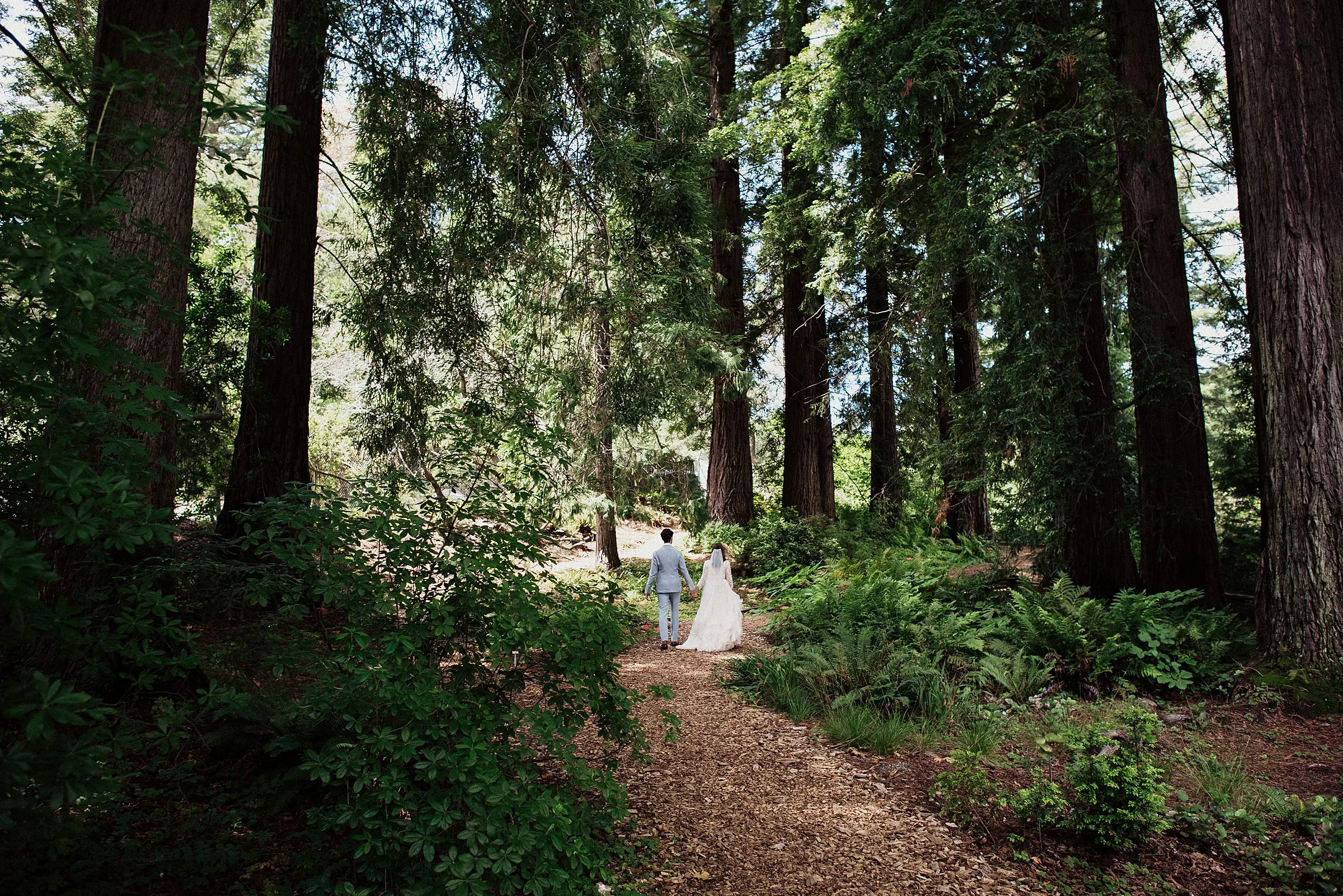 bride and groom at tilden park