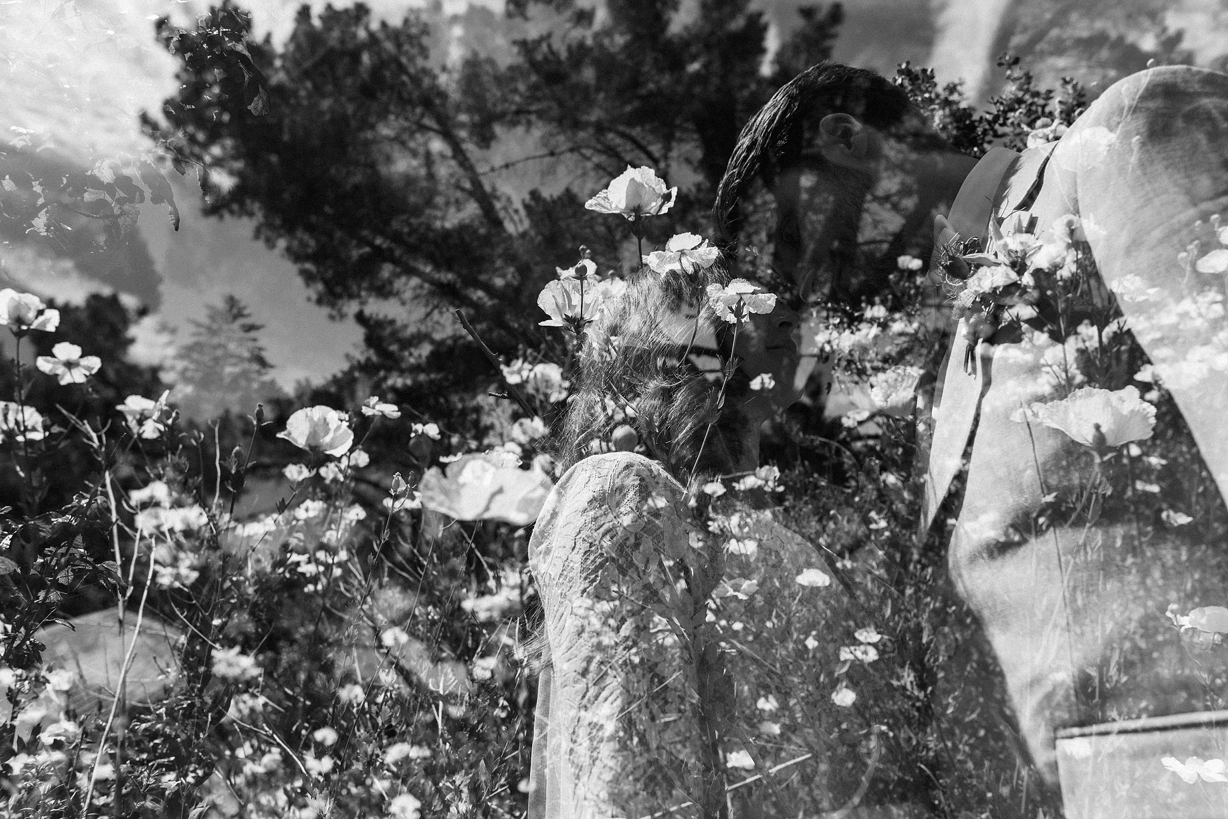 tilden-park-wedding_0240.jpg