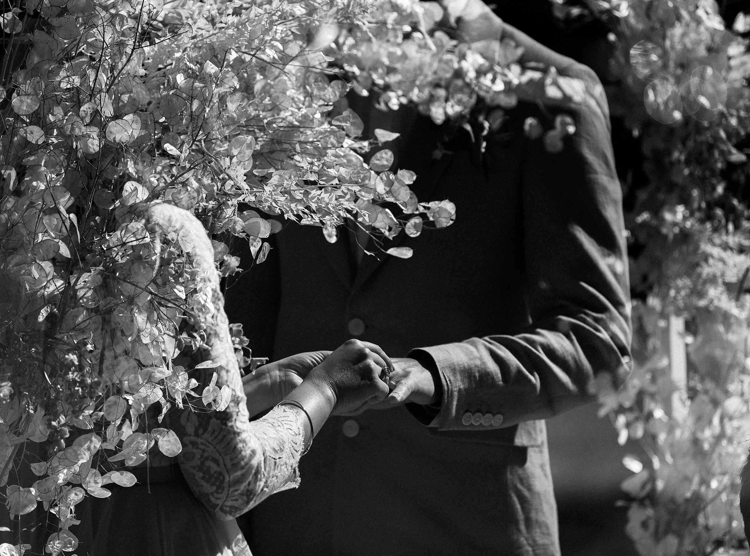 tilden-park-wedding_0254.jpg