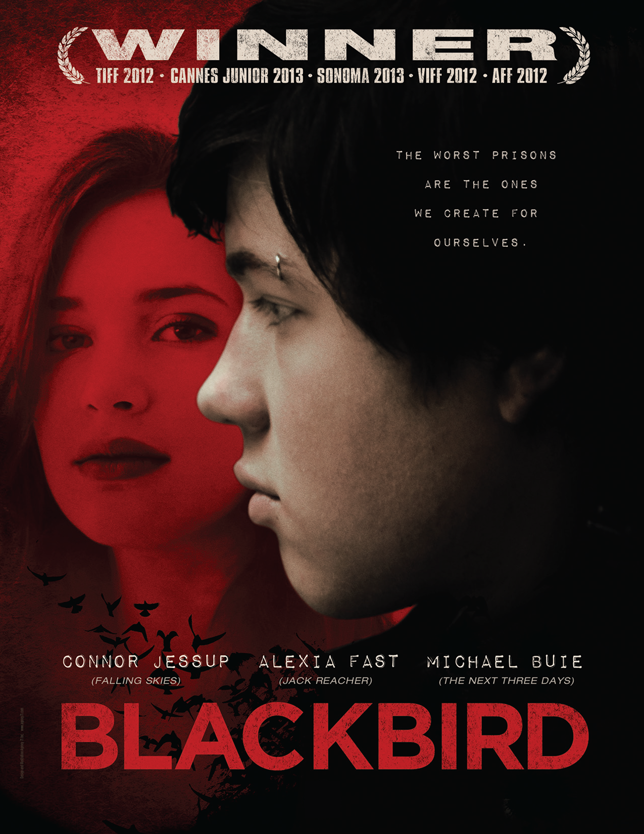 BLACKBIRD_image.png