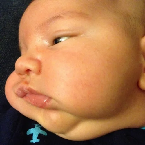 LOOK AT THOSE CHEEKS. LOOK AT 'EM!