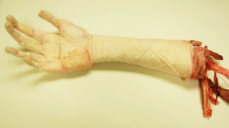 Paper Arm