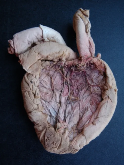 heart front.jpg