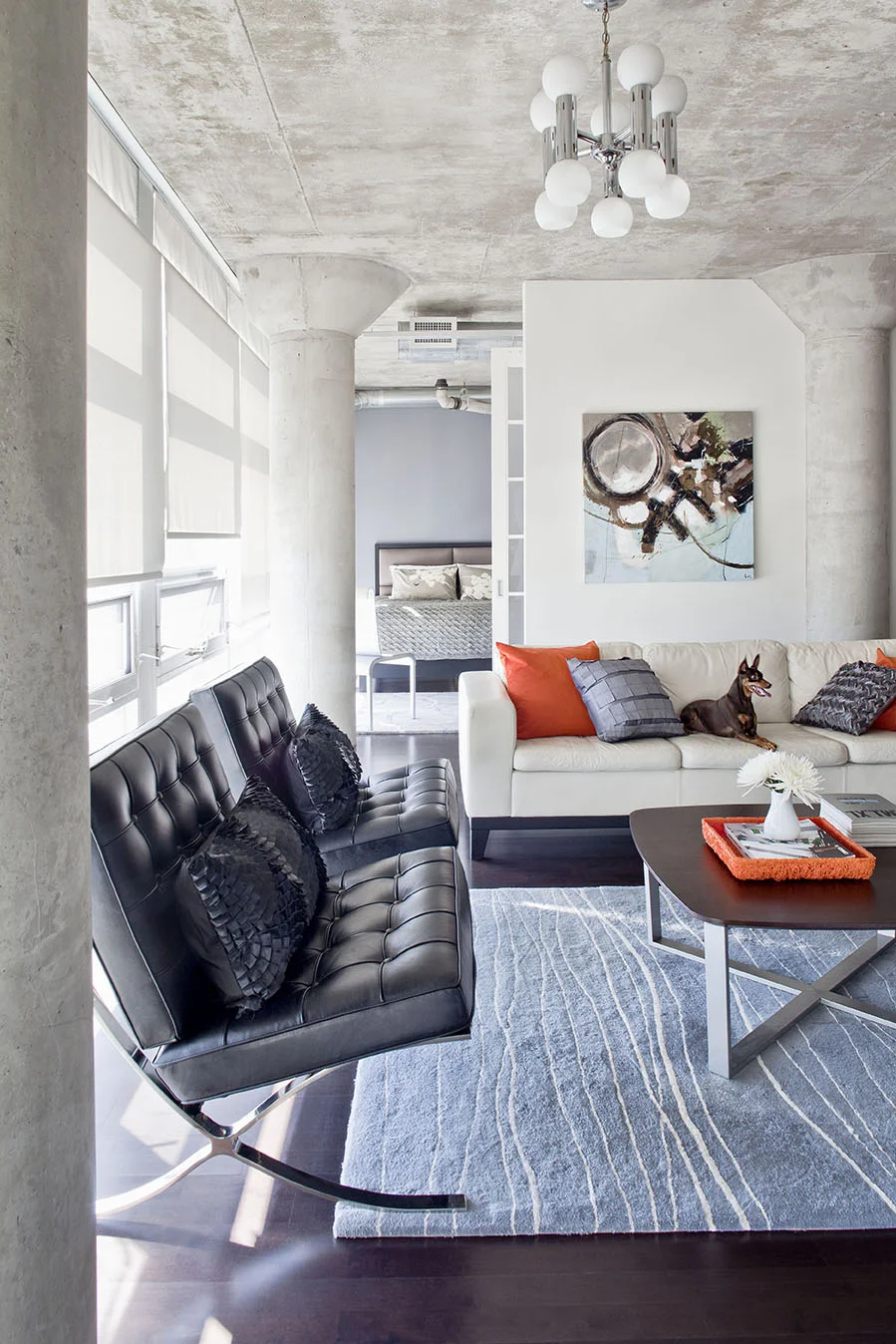 Living Room_03_Dog-002_final.jpg