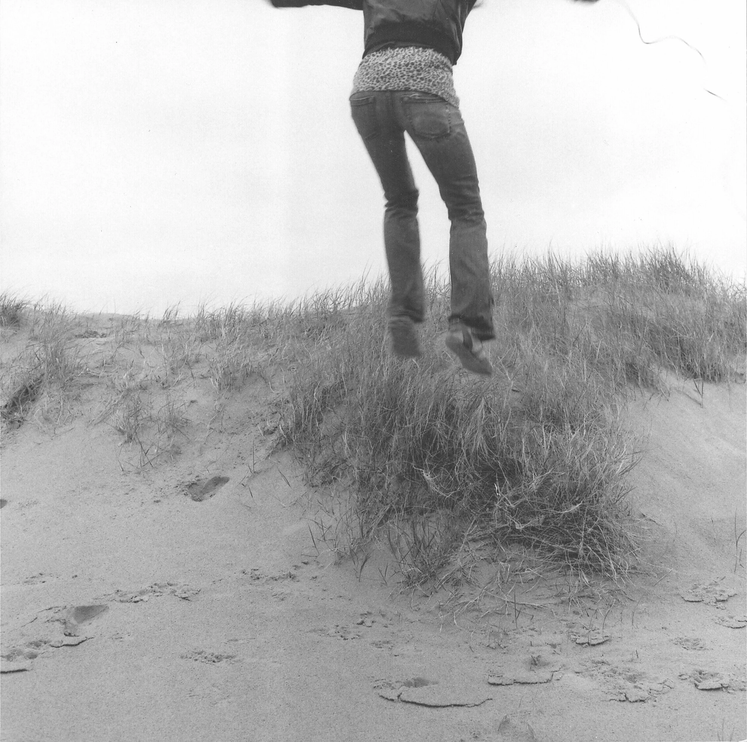 Untitled (Fall), 2006