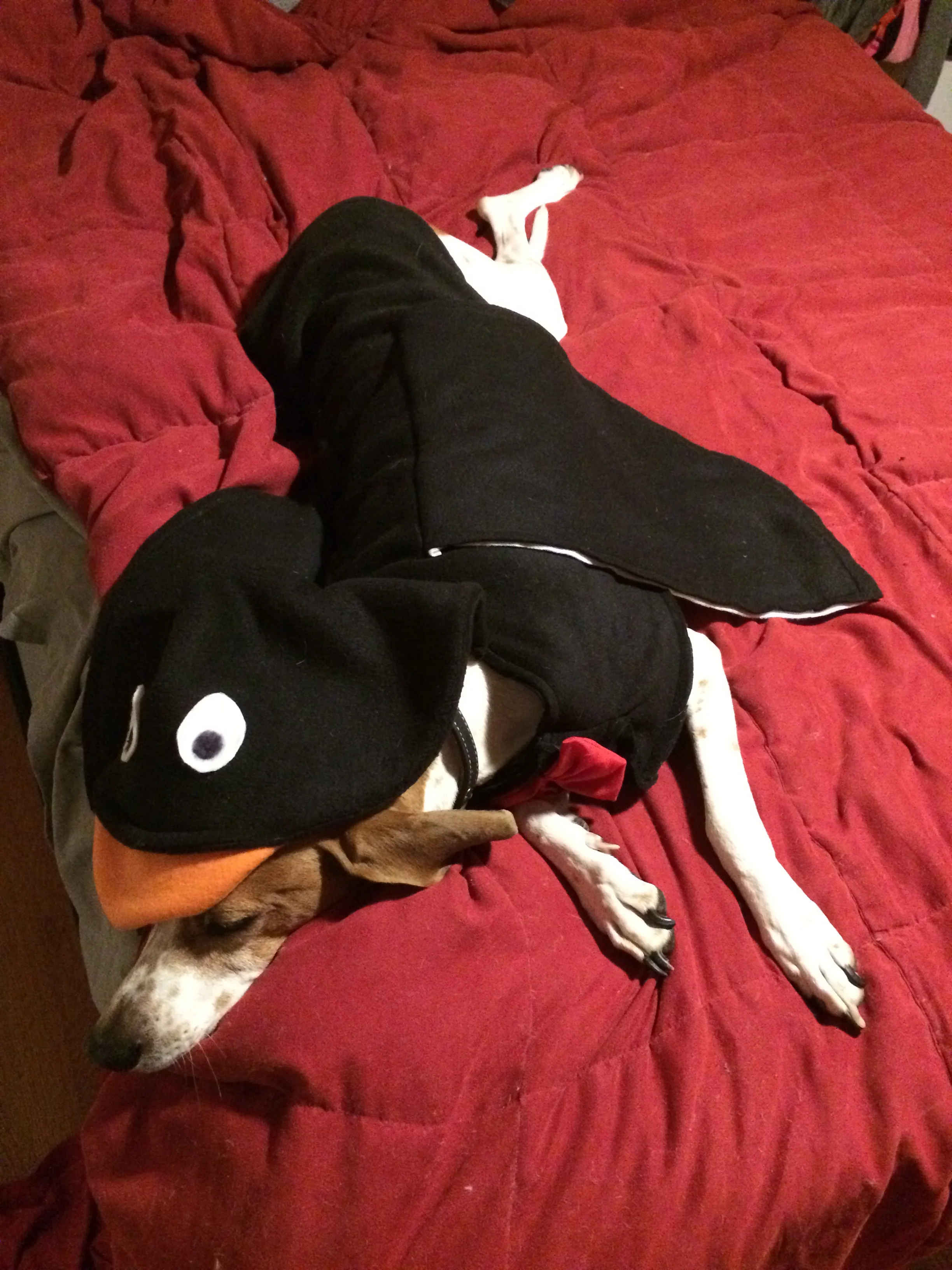 Can I take it off yet, mom?