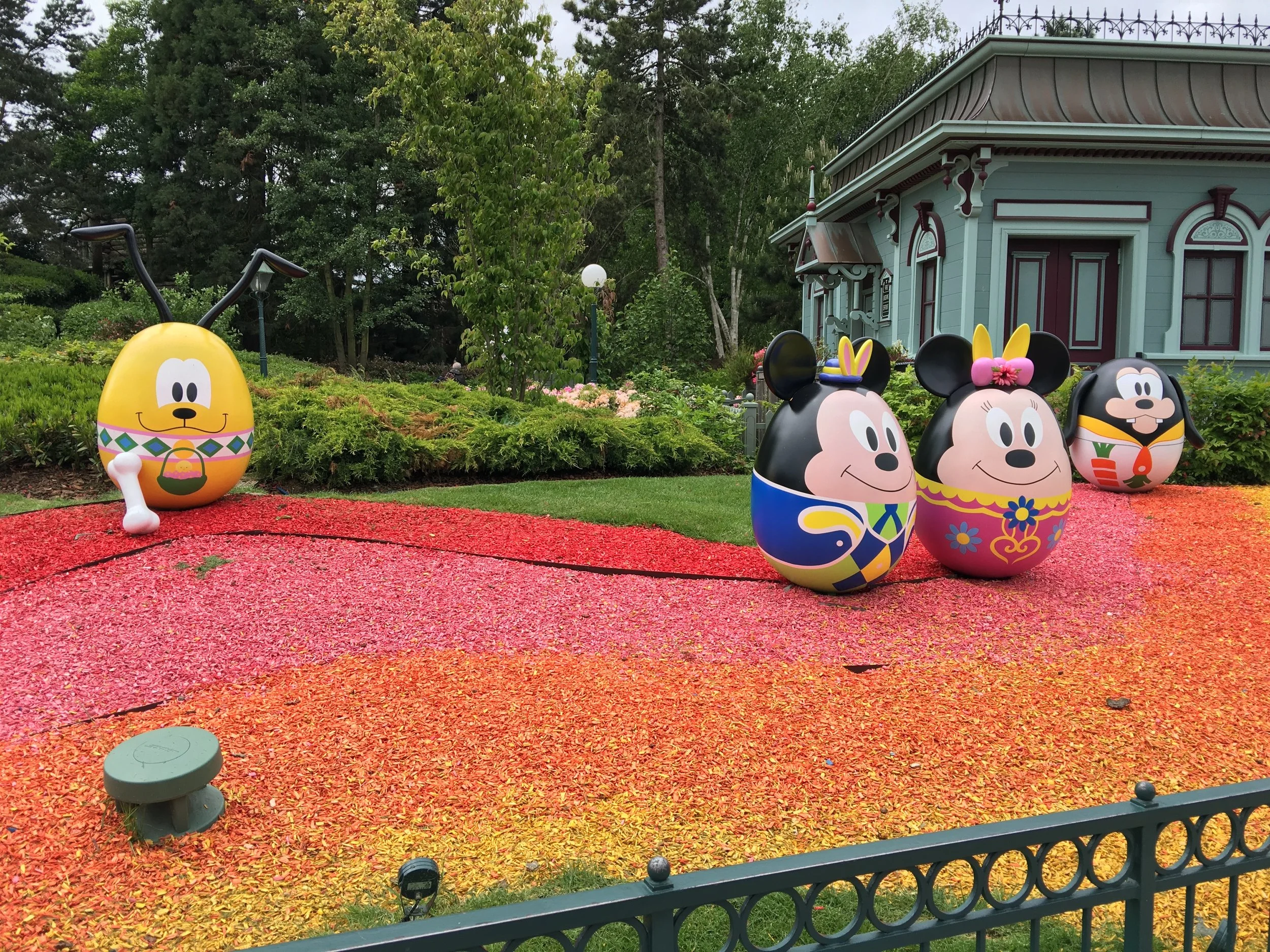 DLP 12.jpg