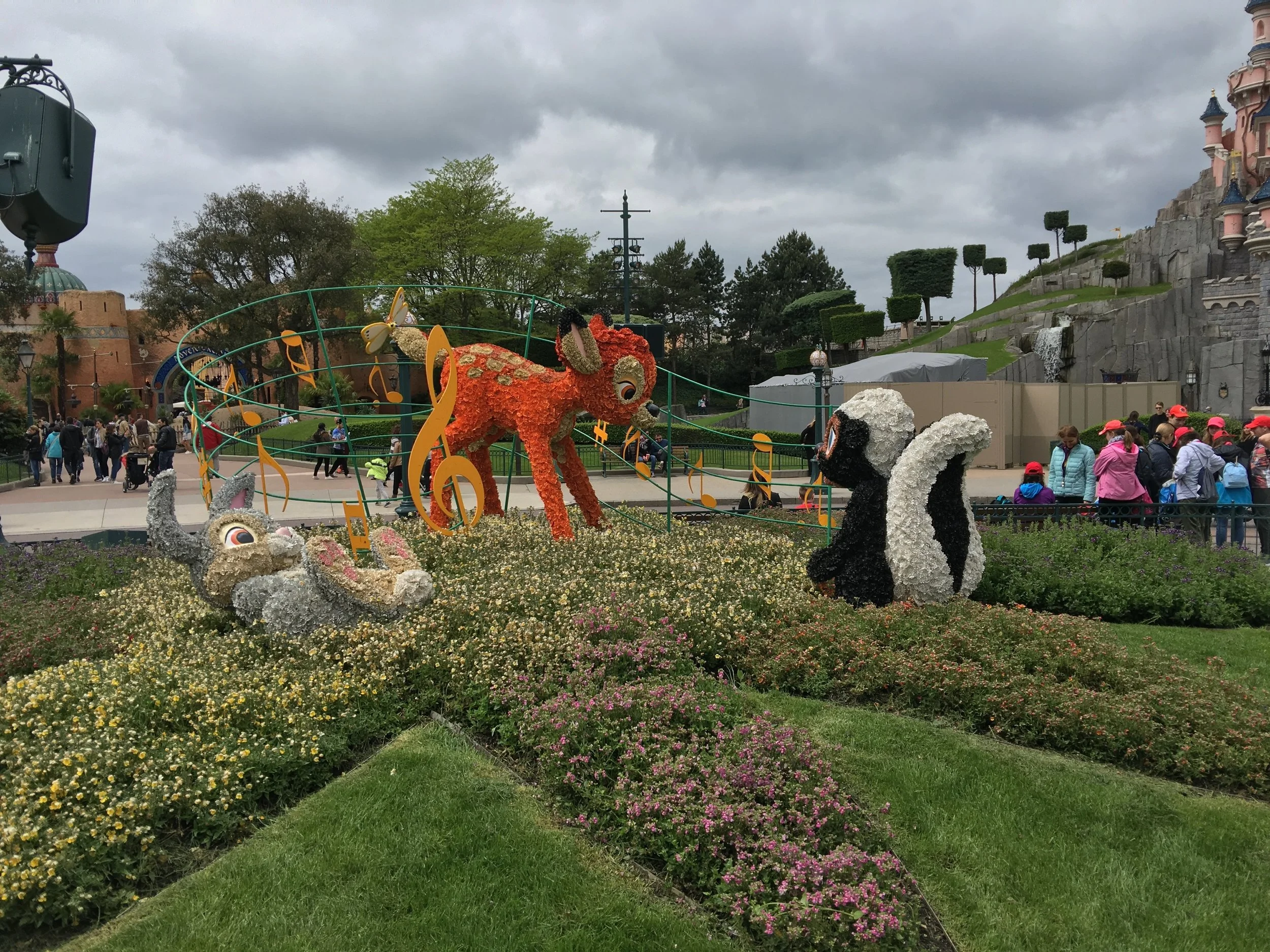 DLP 16.jpg