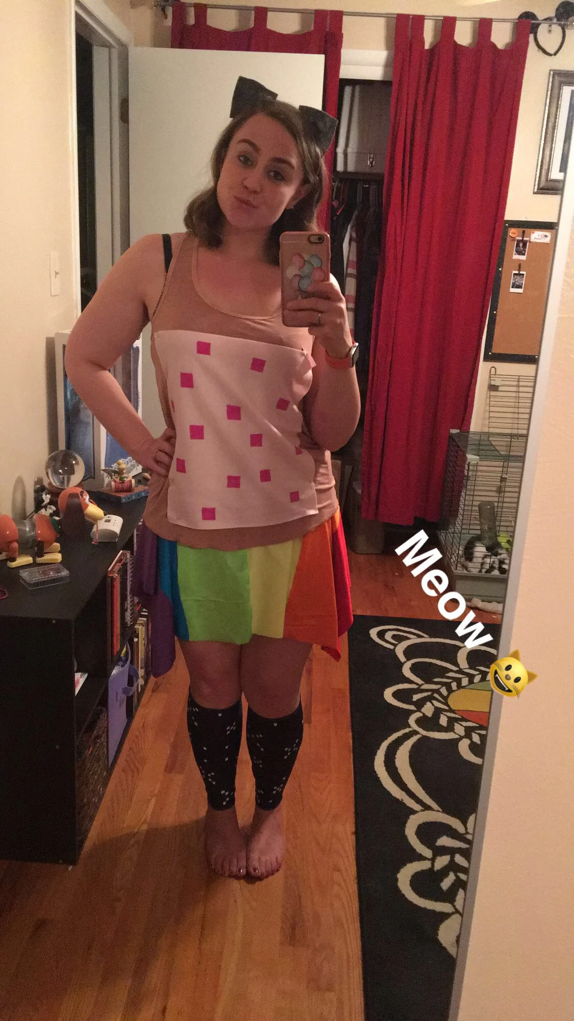 Detail of my DIY Nyan Cat costume
