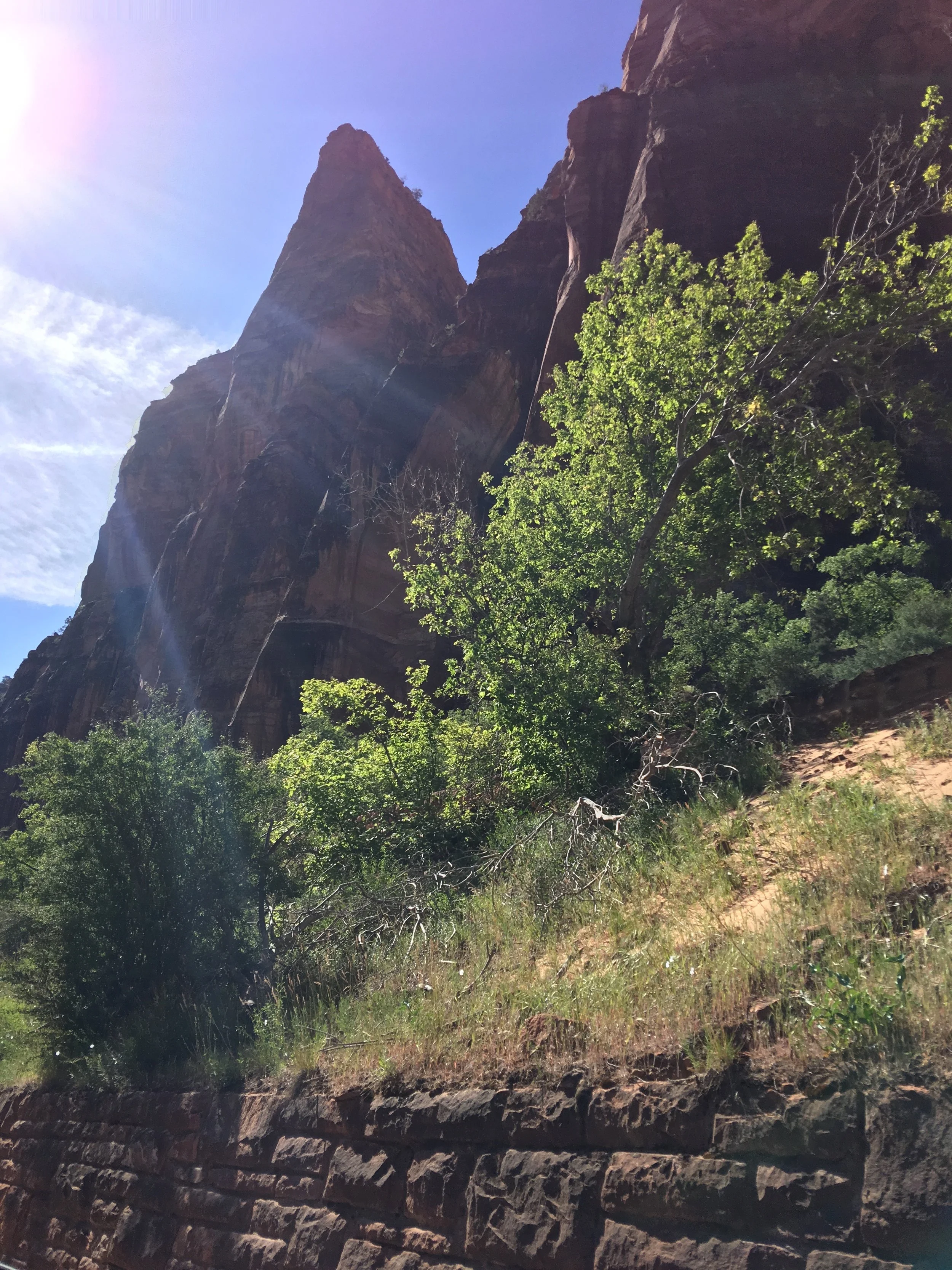 Zion through the car window