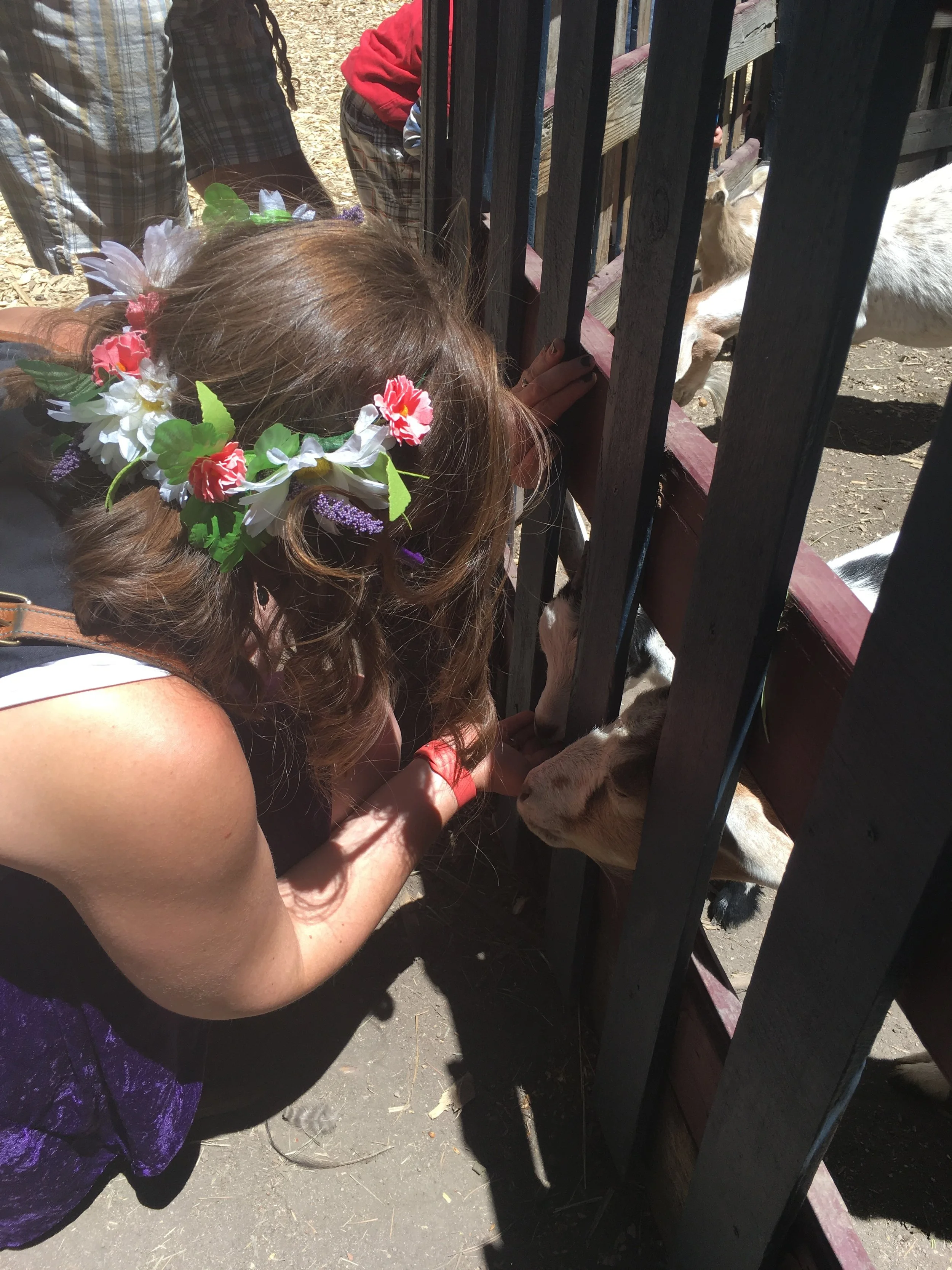 Feeding my favorites at the festival. And this is probably the best shot of the back of my head so you can see the detail 