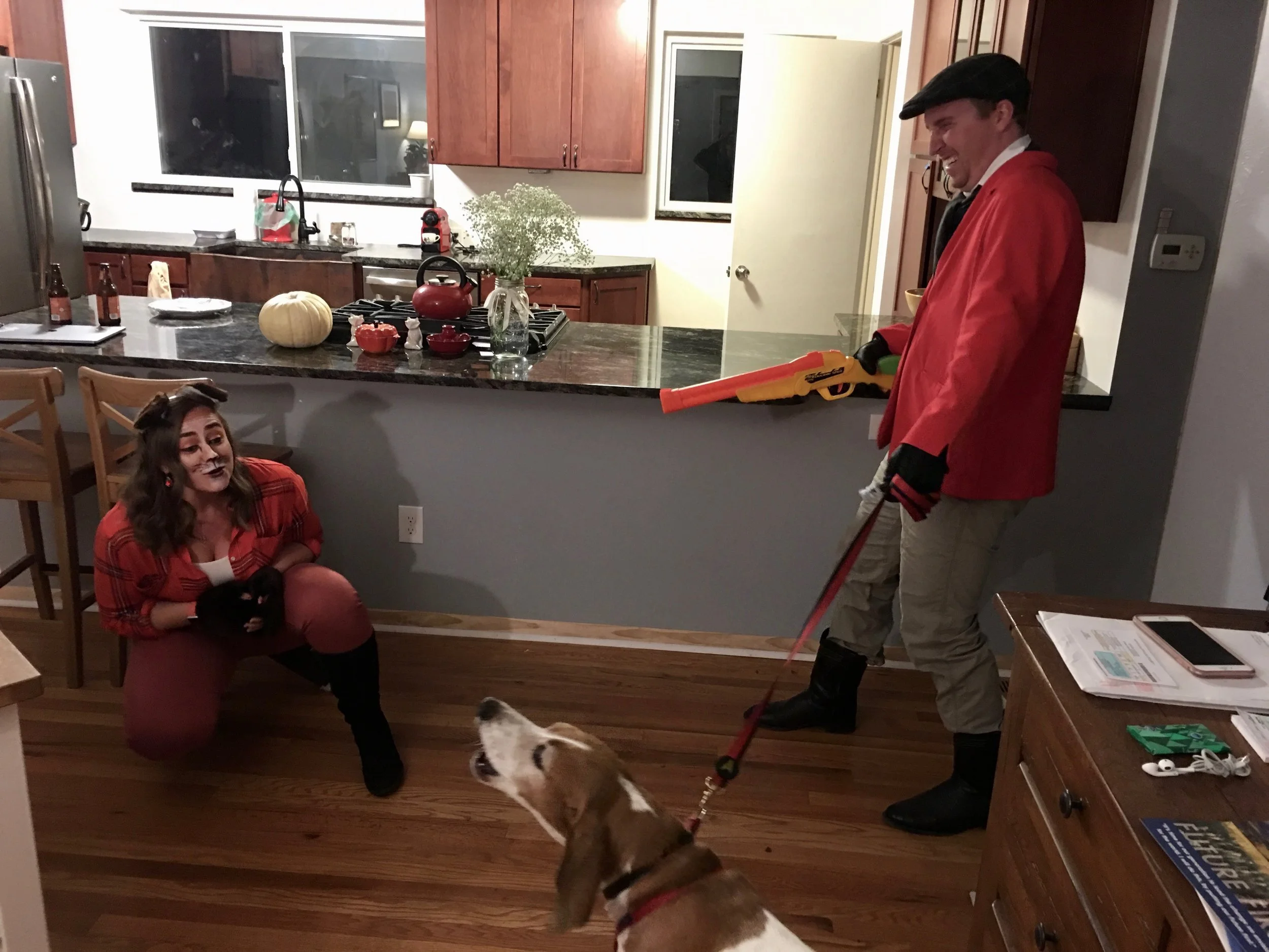 Trying to get the hound to hunt the fox