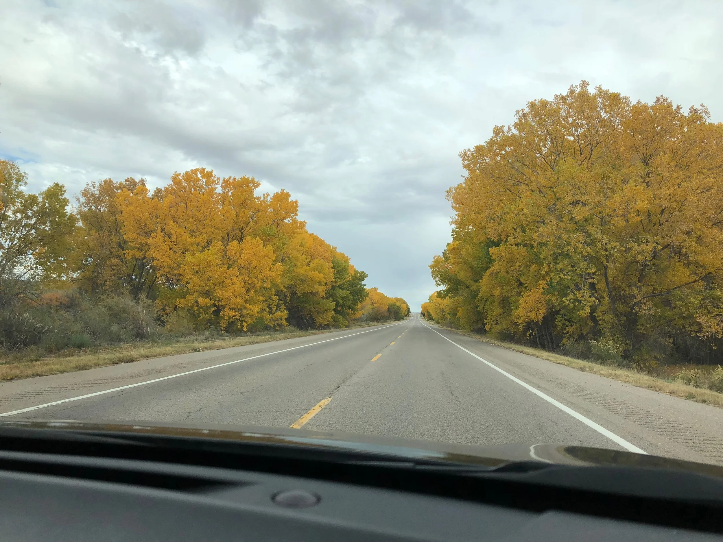 We drove back on 285 and got to see some gorgeous leaves!