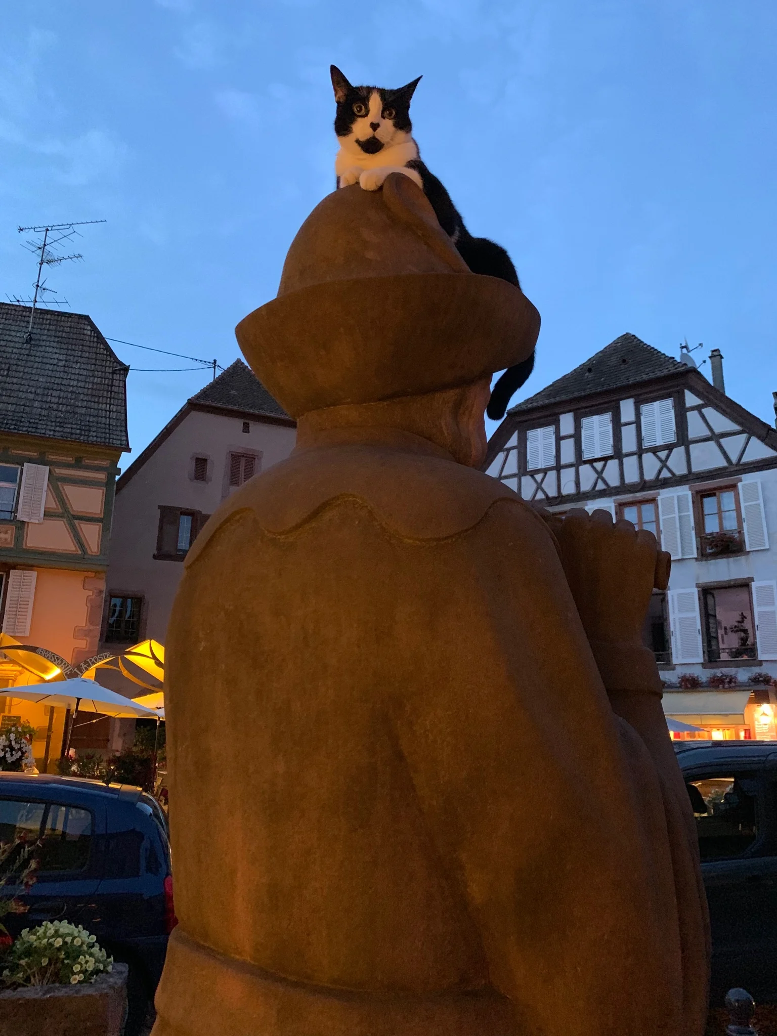 The Pied Piper statue along the main street with a cat on his head!