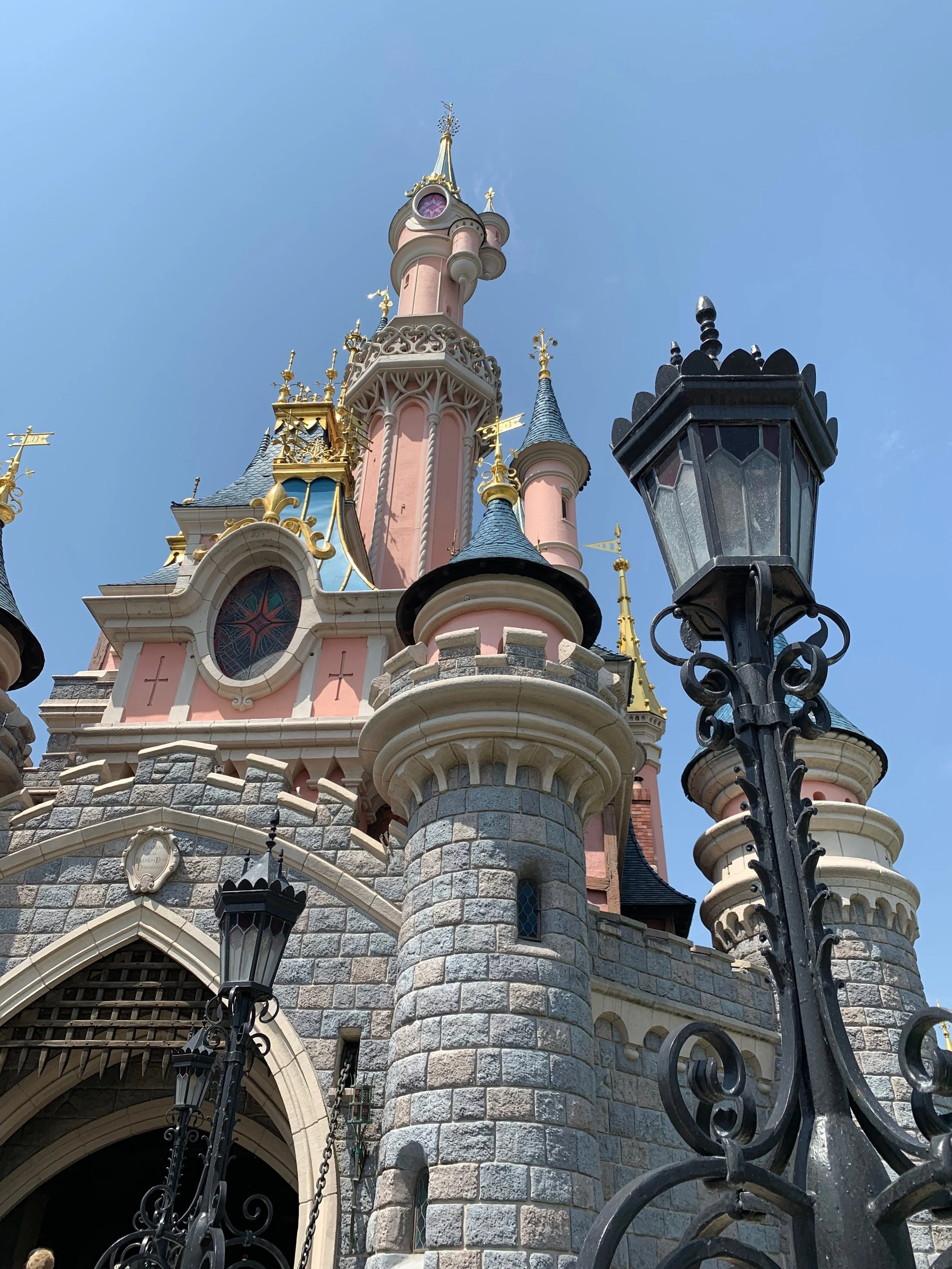 DLP 29.jpg