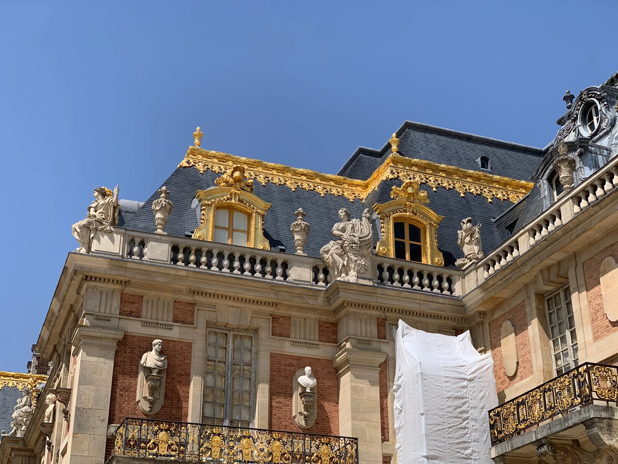 DLP 4.jpg