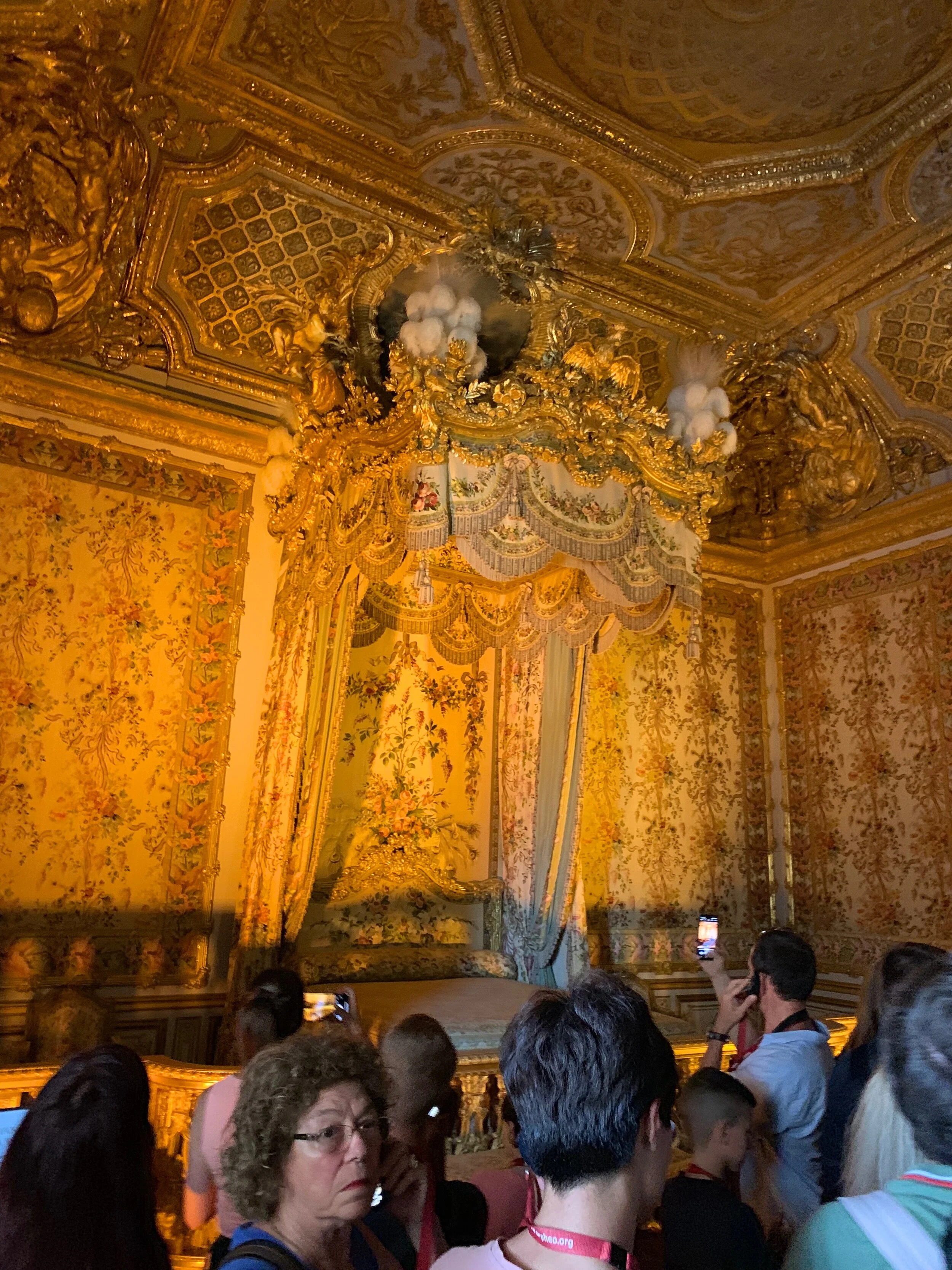 DLP 11.jpg