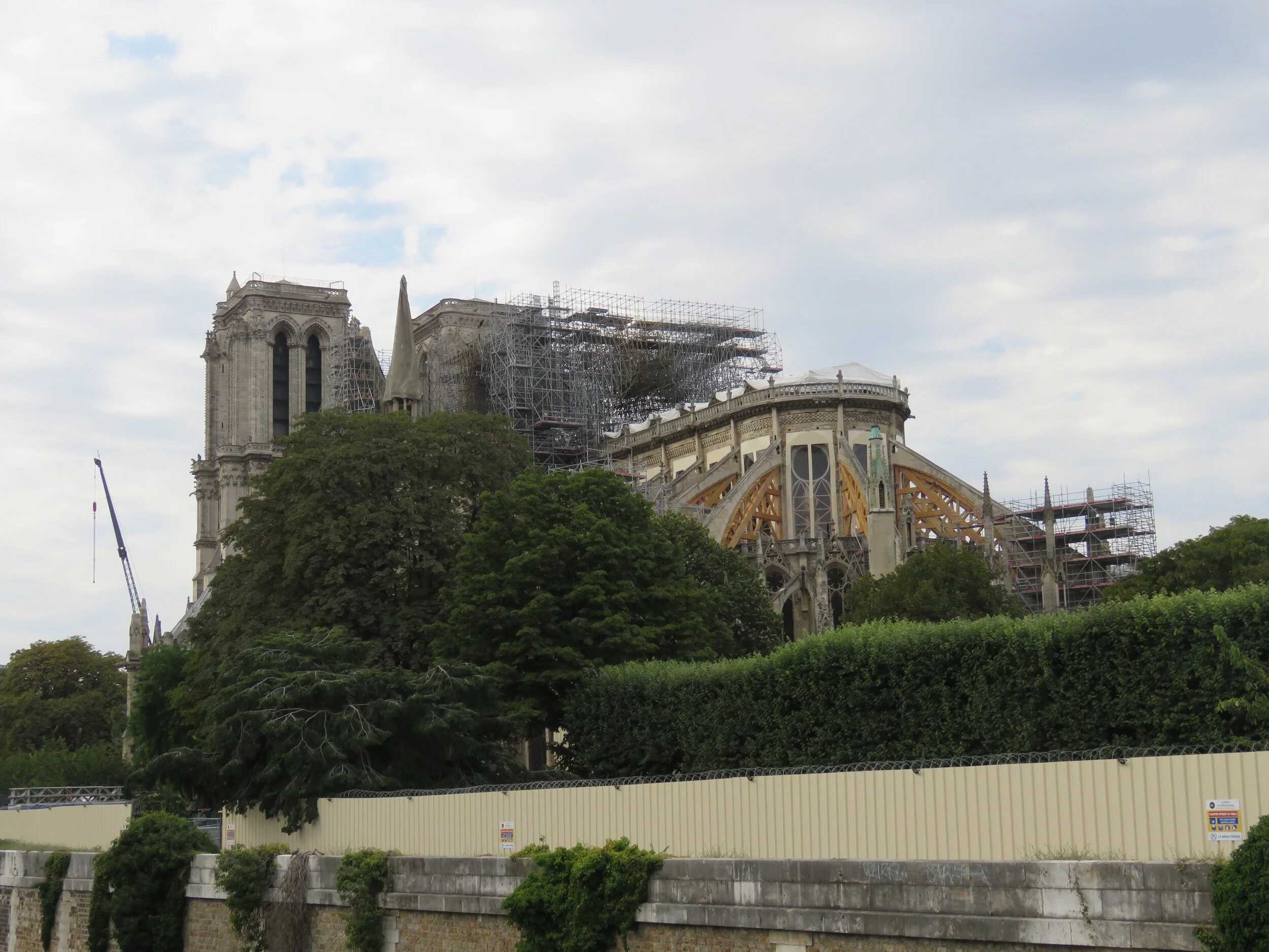 DLP 40.jpg