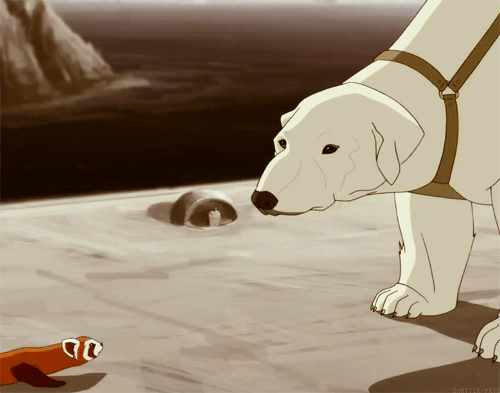 Friends for life: Pabu and Naga 