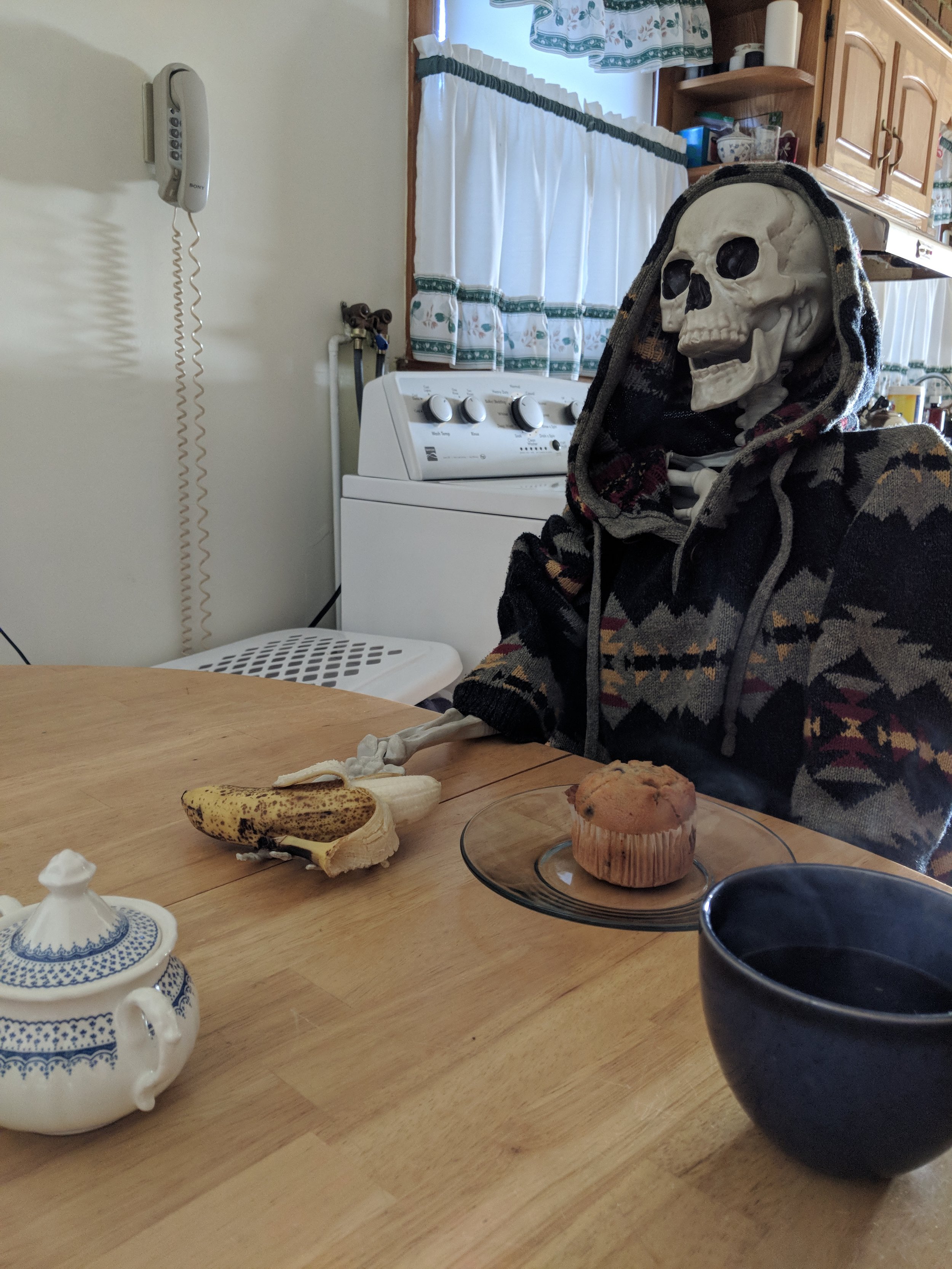 Contemplating a Muffin