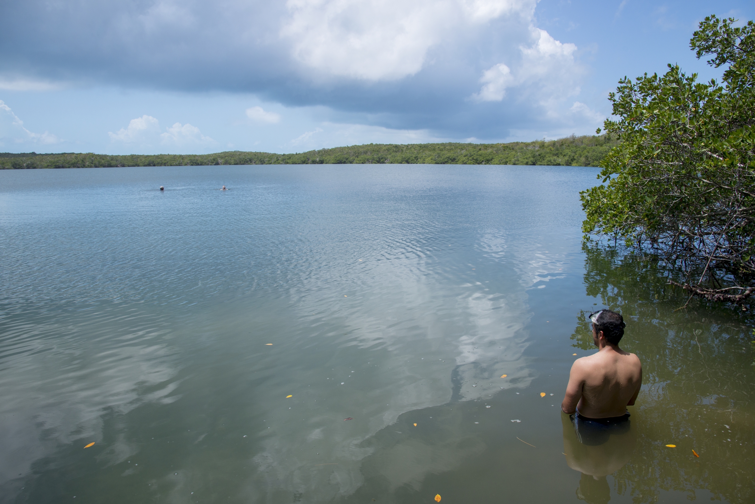 Fernando Bretos snorkeling Turtle Lake. Courtesy of Neil Ever Obsborne, iLCP