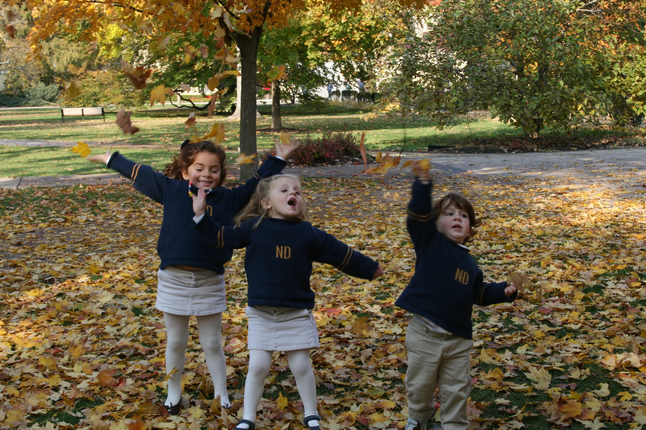 premier providers of university admissions consulting in Boston.jpg