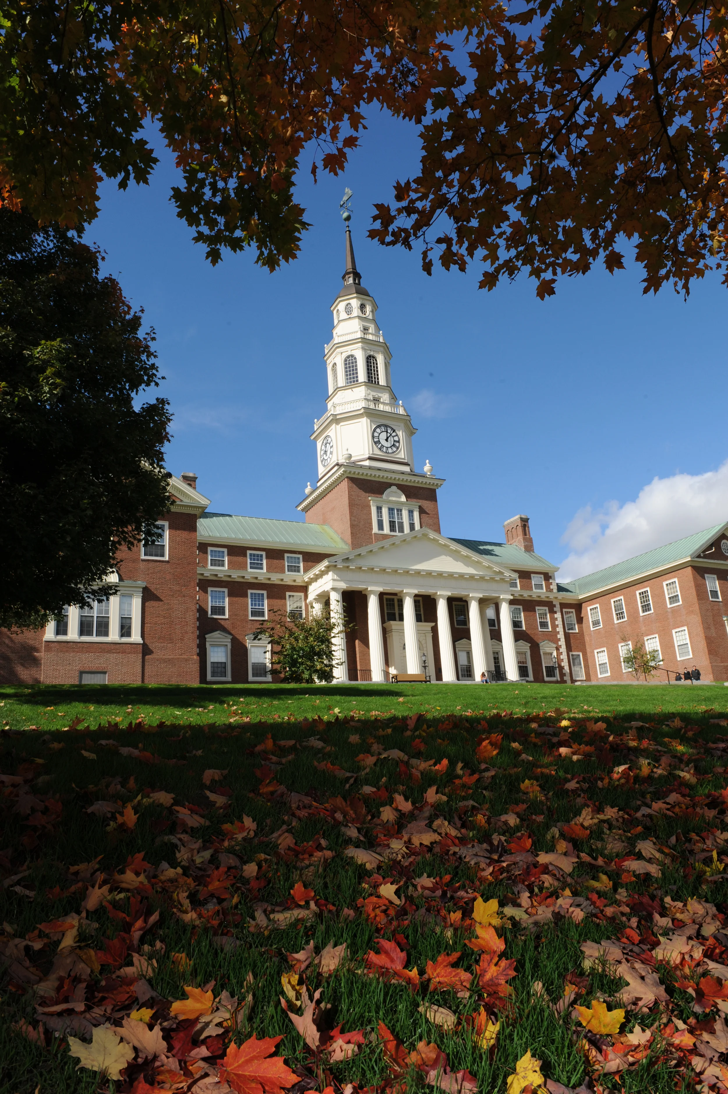 Our College Assistance Guides You to Put Forth Your Best Application for Admissions.jpg