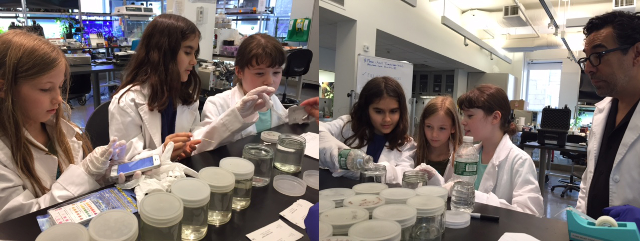 Each sample (two per location) was tested for pH and total Alkalinity, Total Hardness, Nitrate/Nitrite Nitrogen, Iron, Copper, Free Chlorine and Total Chlorine. While the test levels yielded very similar results (except in the English Kills “spring” sample) the whole effort was not a waste. One has to take into account that it was done at the ebb of lowest tide and 12 hours after a slight rainfall.