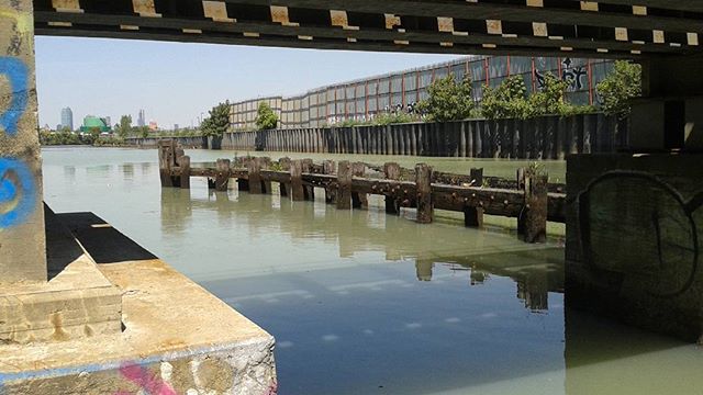 Looking north under the railroad bridge in English Kills. #environmental #nature #bio-remediation #Bushwick #newtowncreek #newtowncreekalliance