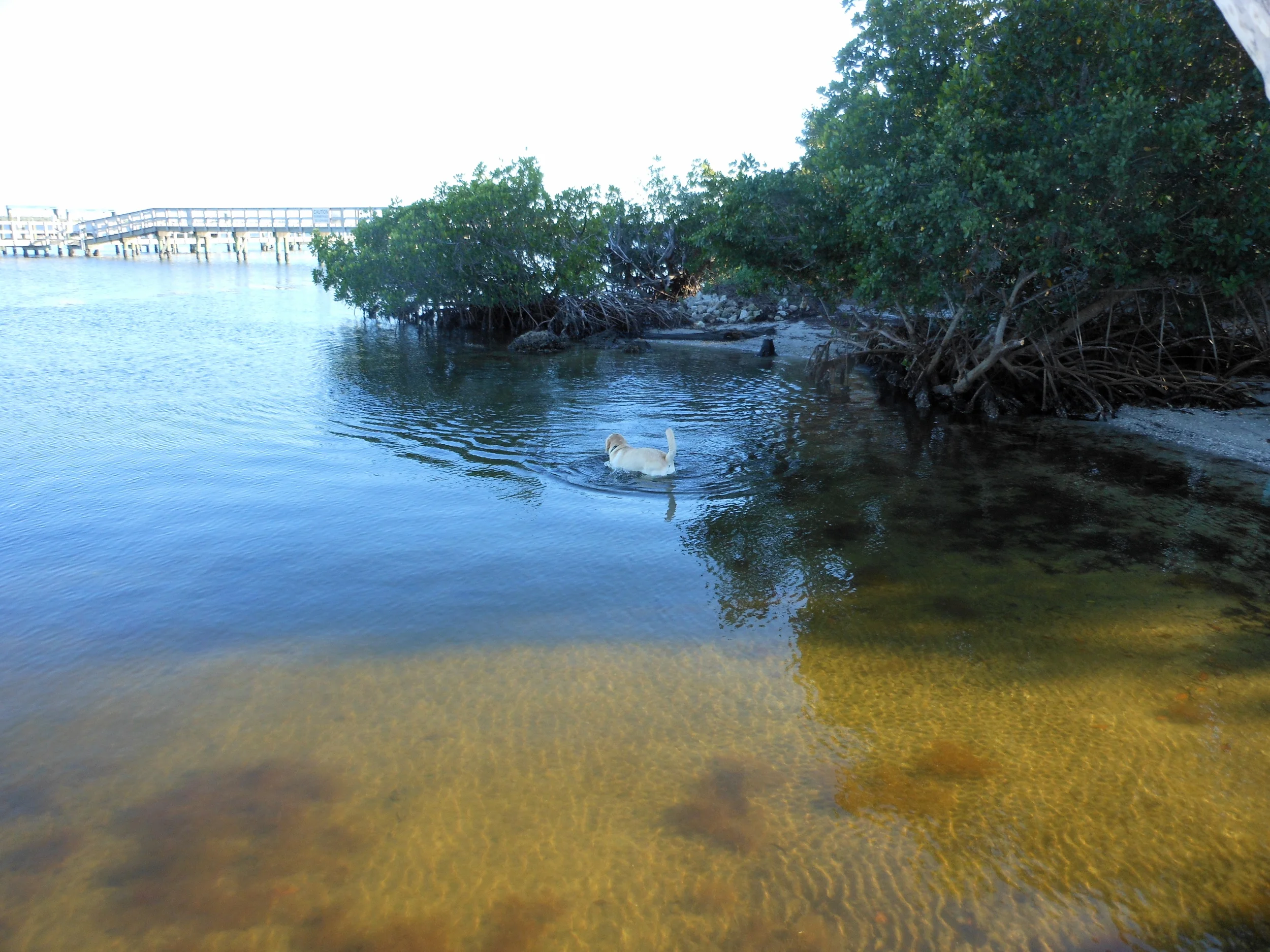 DSCN1278.JPG