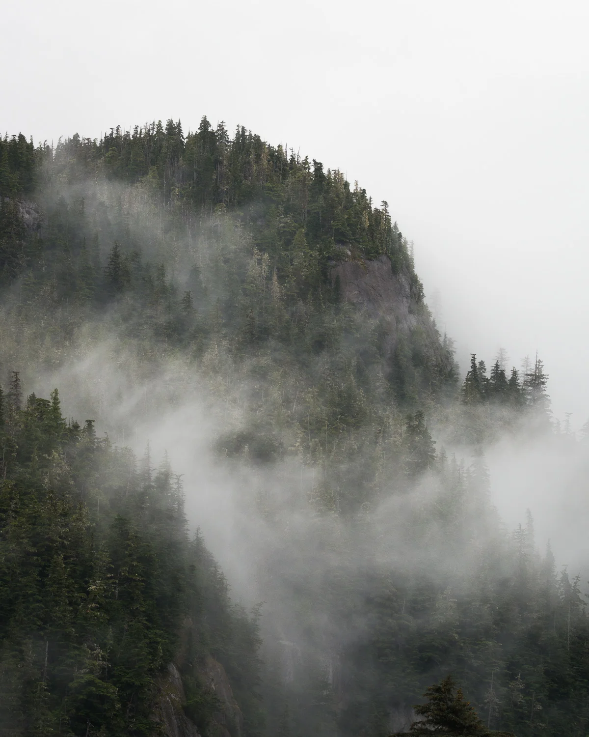 RSP_9192.jpg